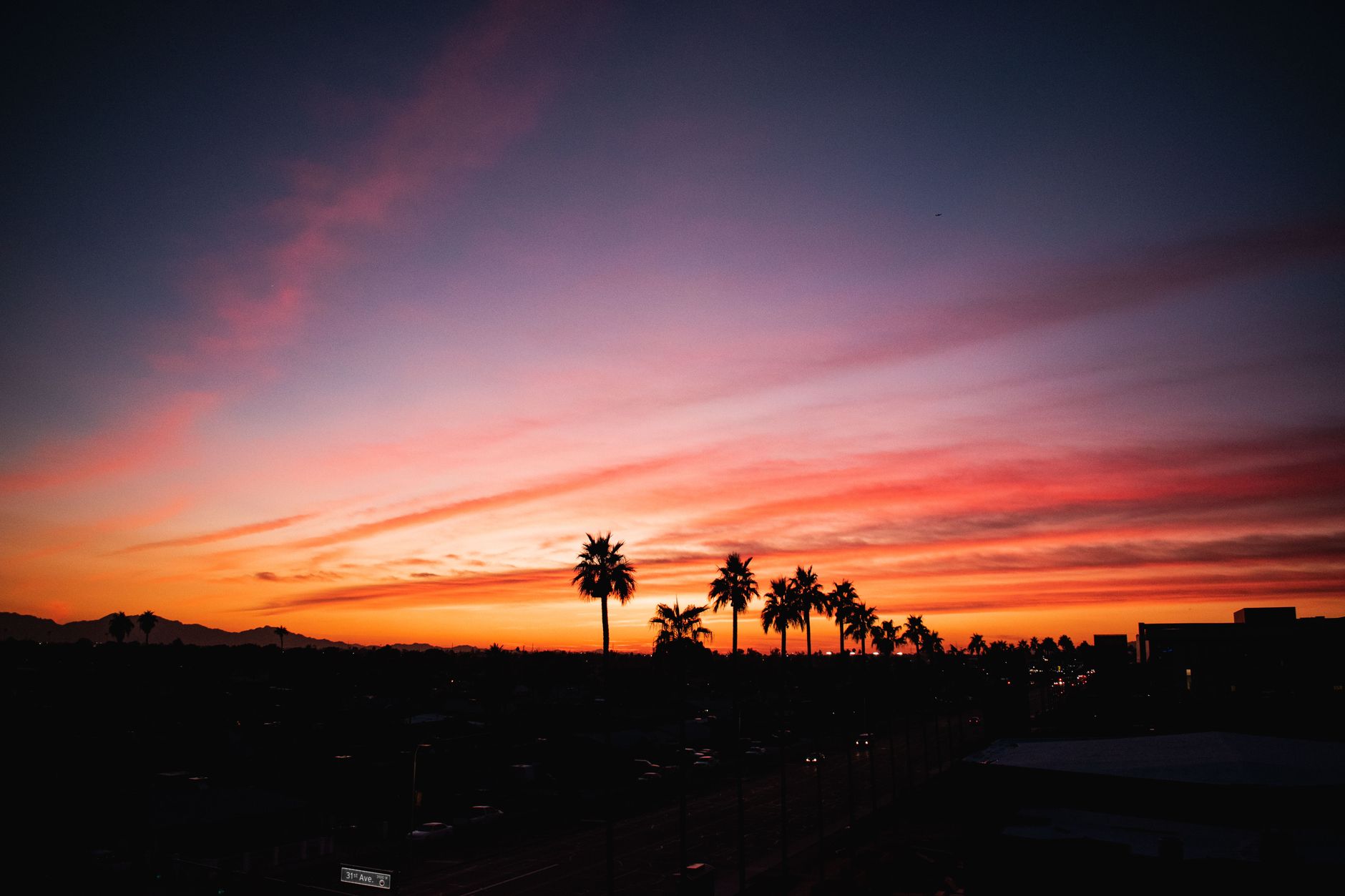 Stunning twilight view of palm trees silhouetted against a vibrant sunset in Phoenix, Arizona.