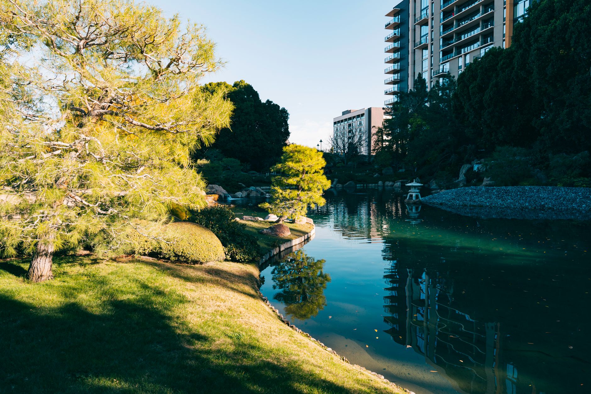 Peaceful view of the Japanese Friendship Garden in Phoenix, showcasing lush greenery and a tranquil pond.
