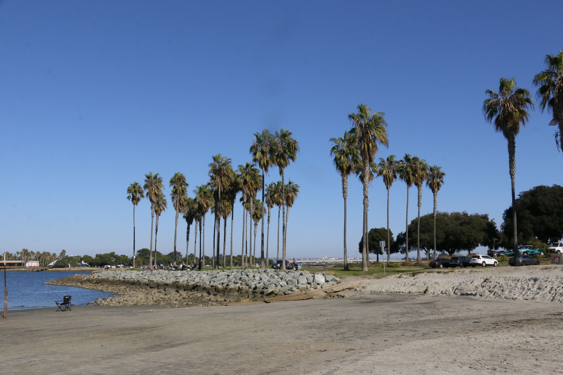 Sunny beach scene with palm trees in San Diego, perfect for a vacation vibe.