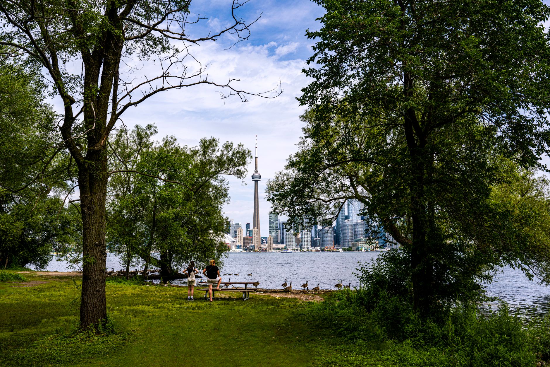 A scenic view of the Toronto skyline from a waterfront park during the day.