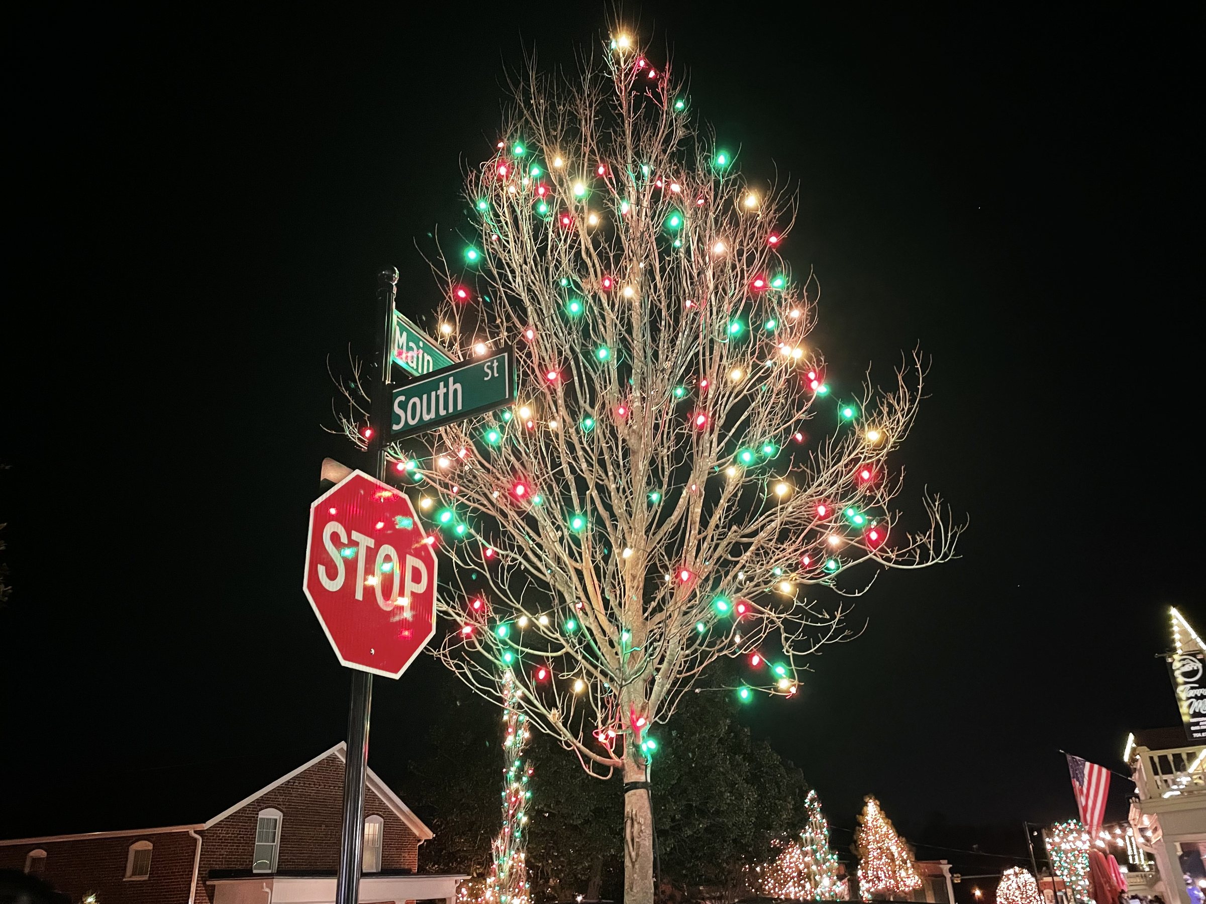 Holiday lights on a tree in McAdenville, North Carolina, known as Christmas Town USA