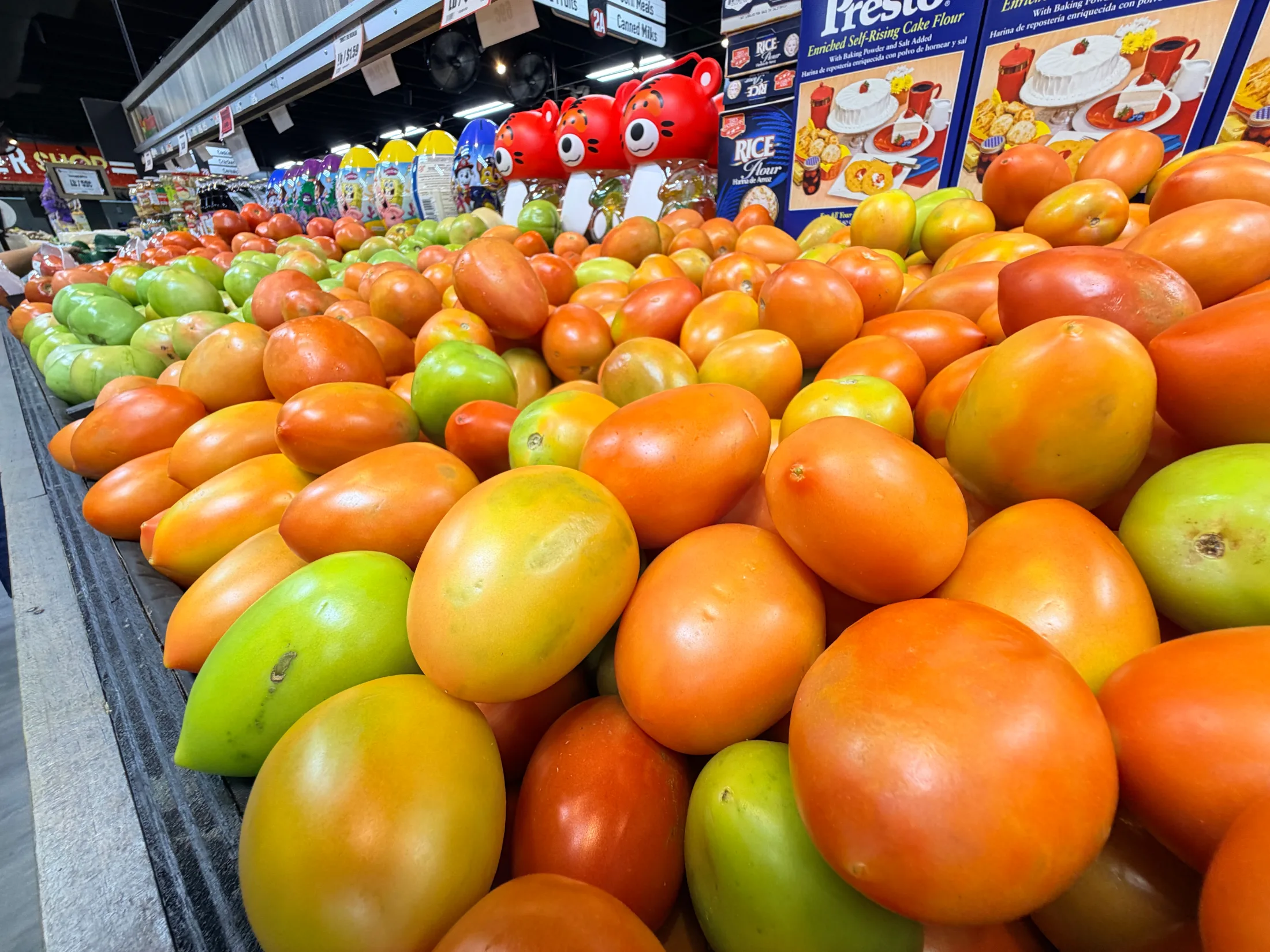Wide shot of the fresh tomato produce bins inside Thrifty Specialty Produce and Meat in St. Cloud, Florida