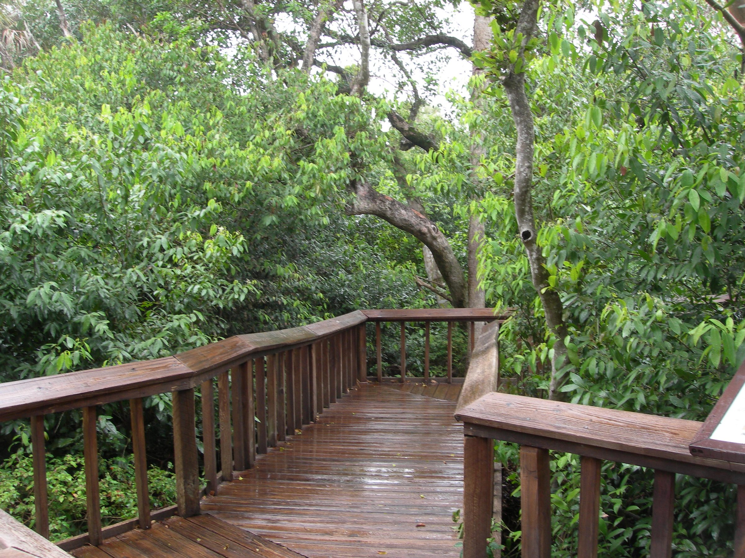 A wooden trail at Gumbo Limbo Nature Center in Boca Raton, Florida