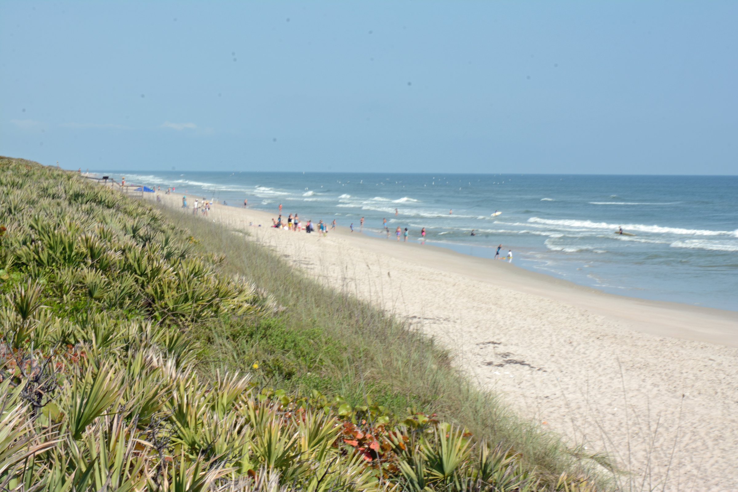 A long, wide sandy beach seen from a dune of green plants, with blue ocean, white surf and a few people far down the beach