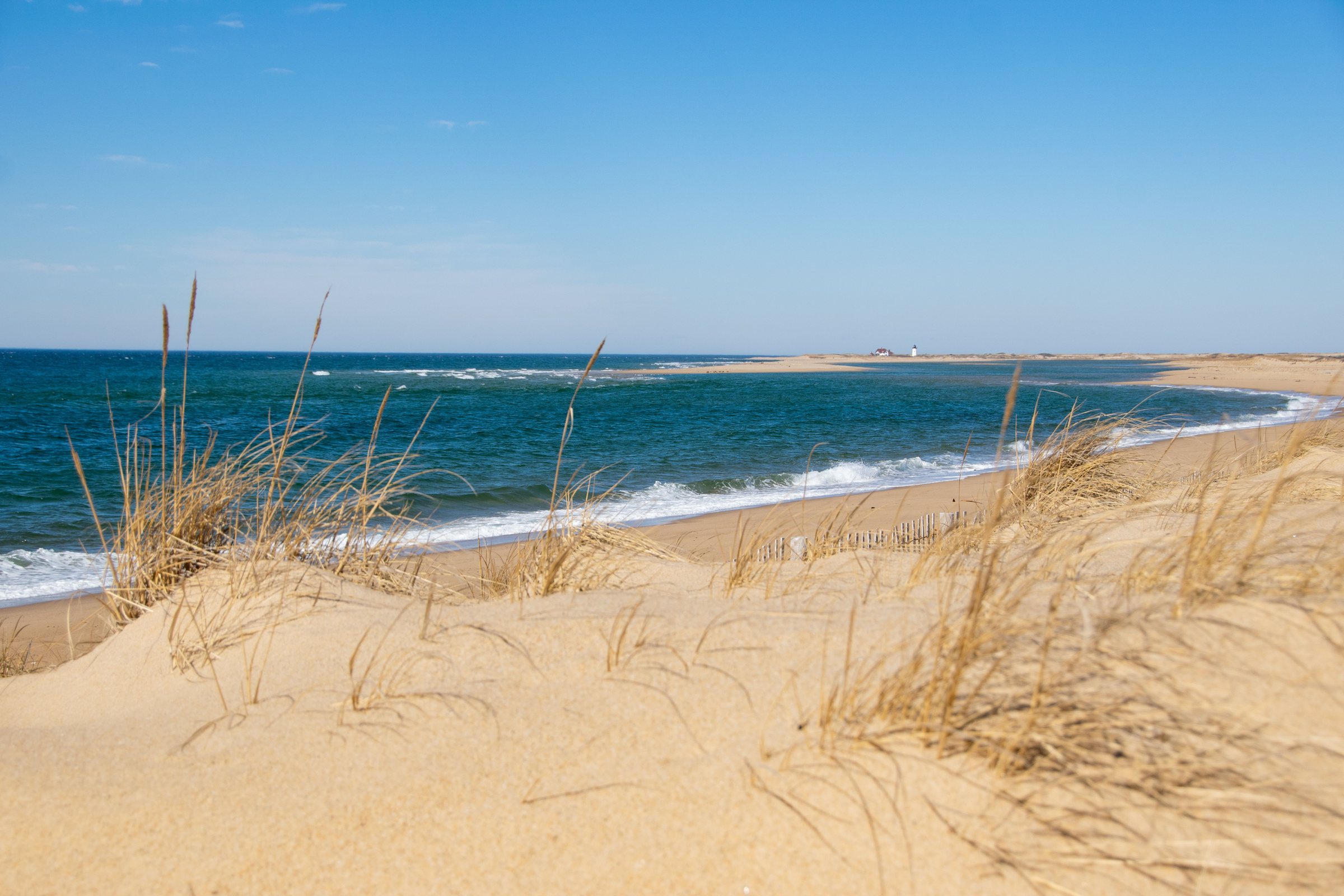 Golden sand dunes with tufts of dry beach grass sloping down to blue-green water and a line of white surf under a clear blue sky
