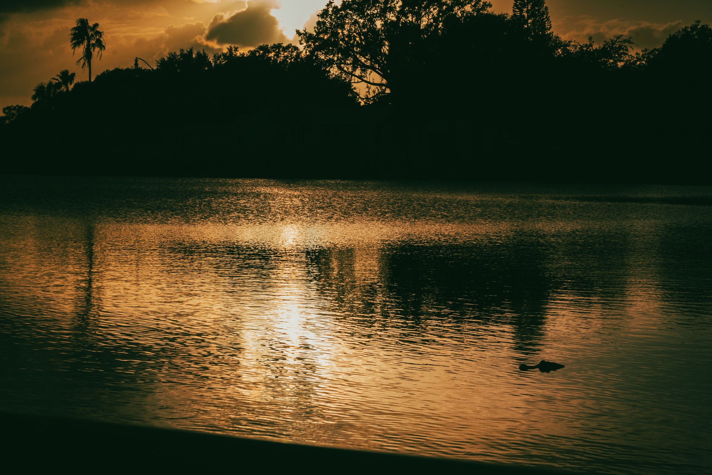 5 Florida Lake Towns With Public Parks on the Water
