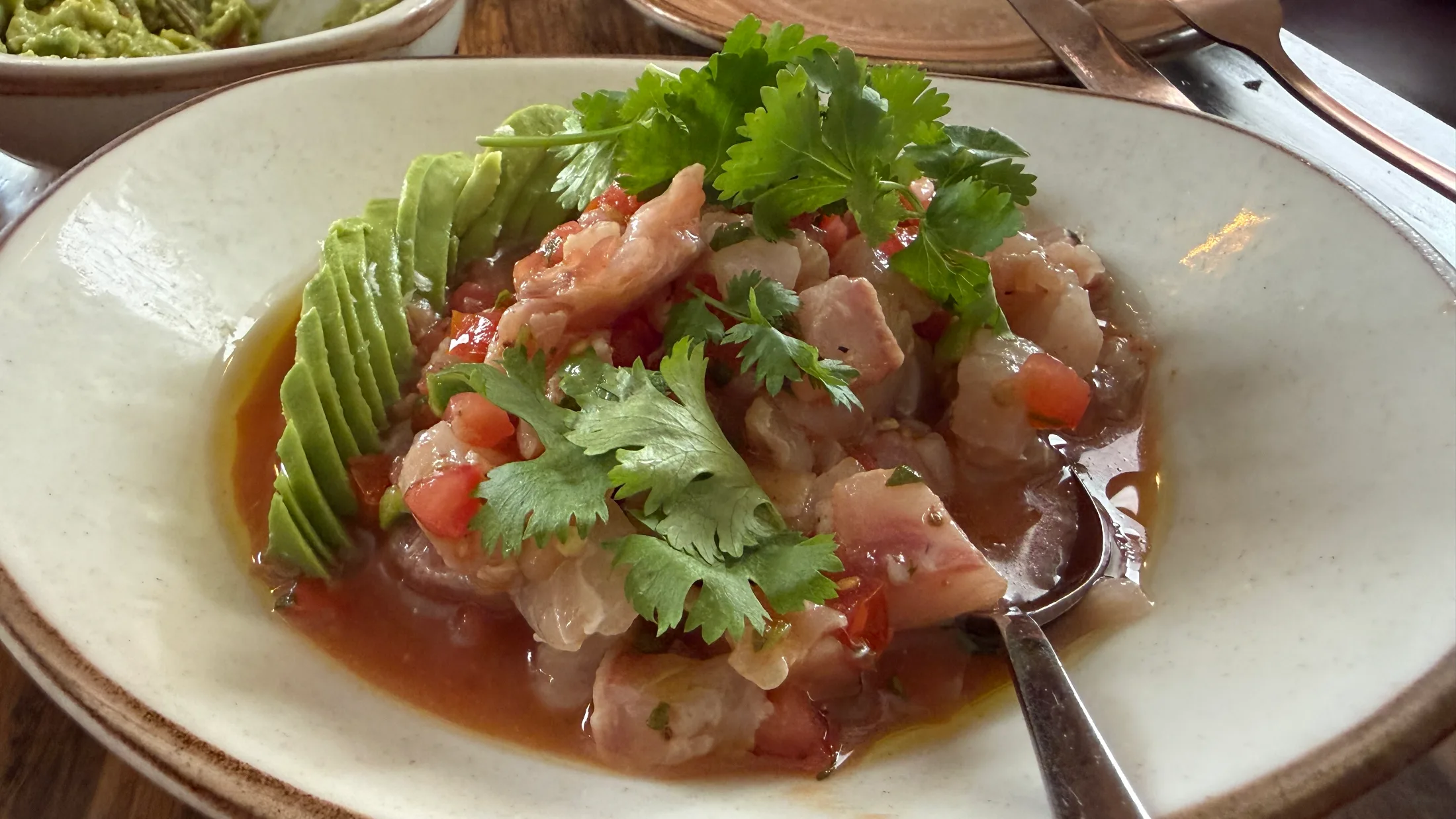 Paloma ceviche β seafood in citrus broth with avocado slices and fresh cilantro