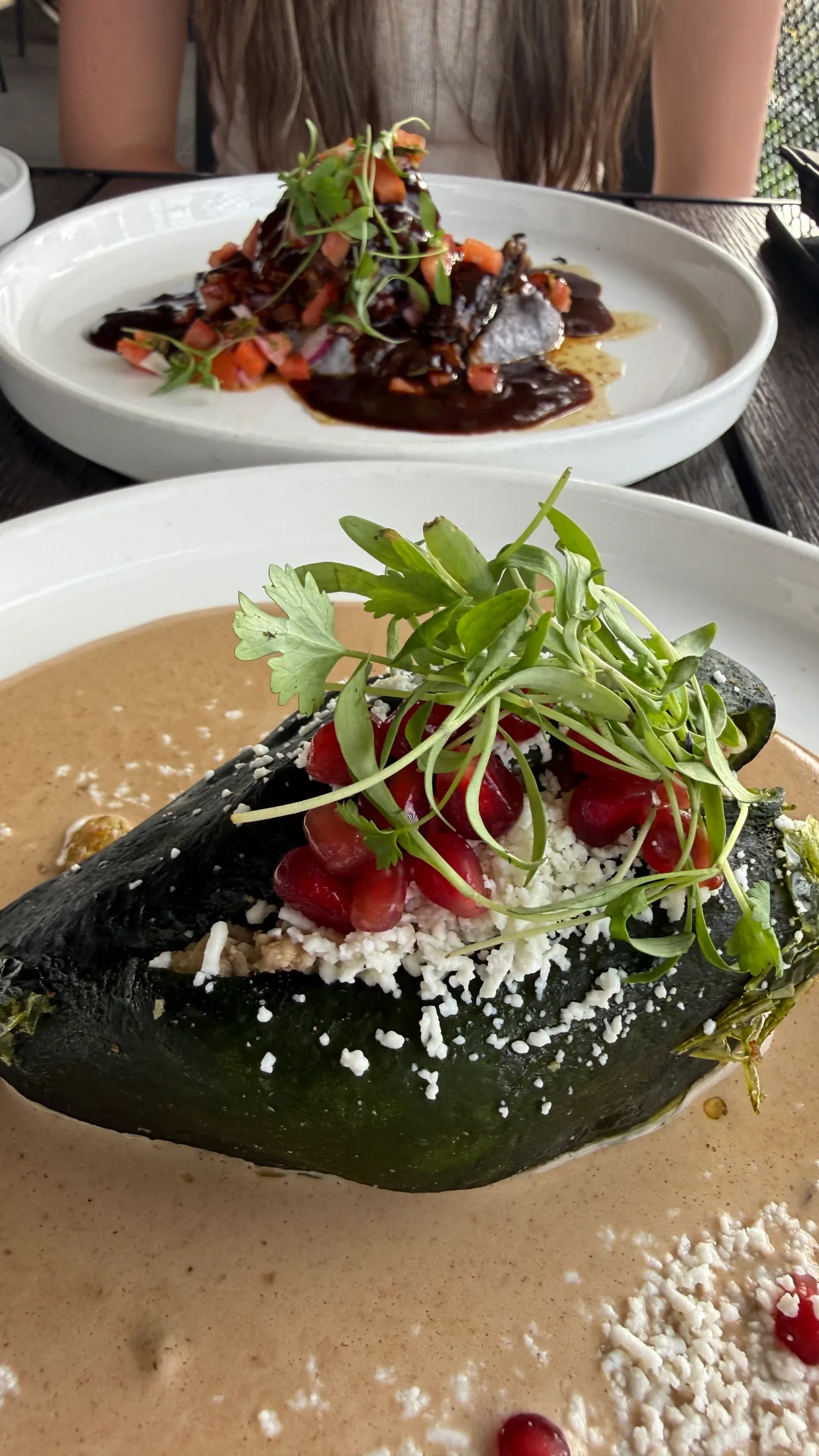 Chile en Nogada — roasted poblano with walnut cream, queso fresco, pomegranate, microgreens — and a mole-sauced plate in the background
