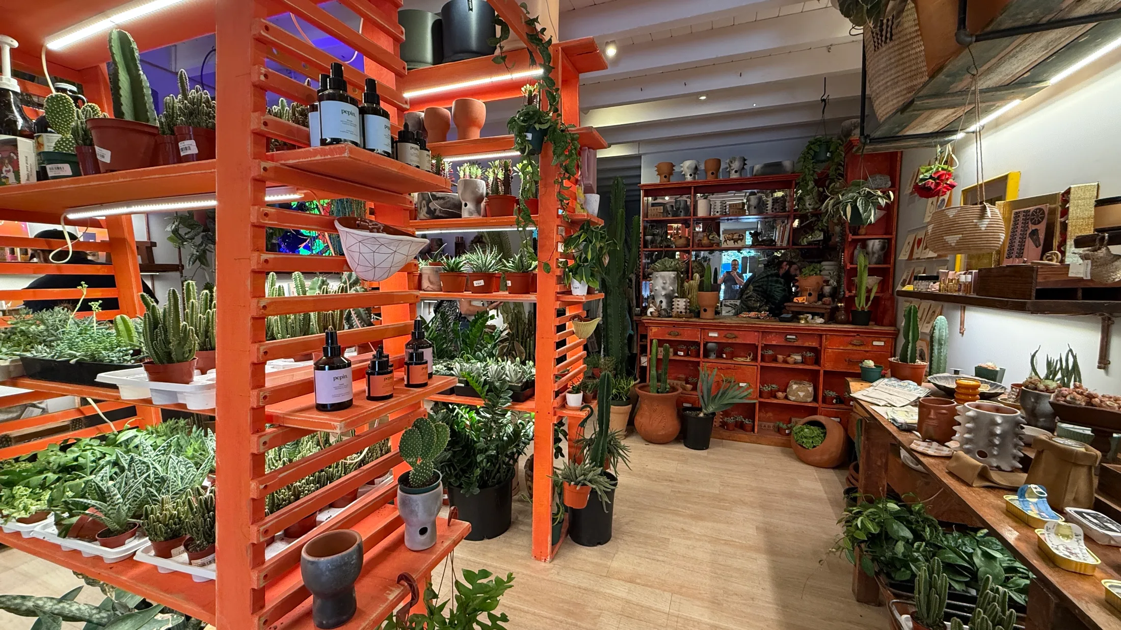 Interior of SABO showing bright orange shelving units loaded with cacti, succulents, ceramic vessels, and small-batch botanical products