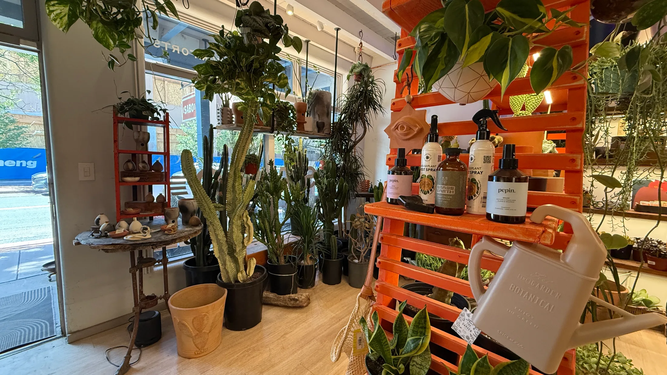 Front window area of SABO showing hanging tropical plants, clustered cacti, Pepin botanical spray bottles, and a ceramic watering can on orange shelving
