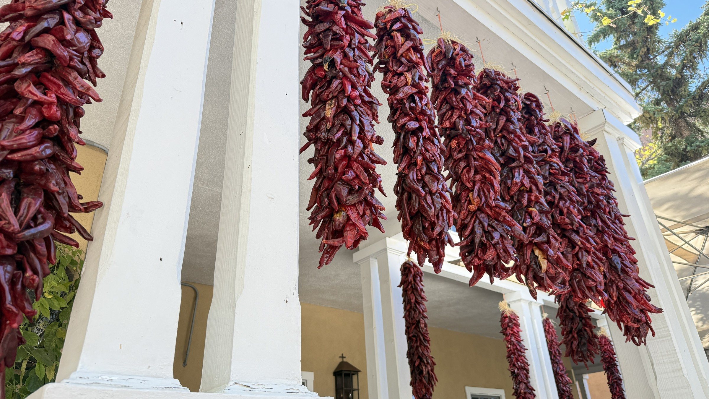 Strings of dried red chile ristras hanging from white porch columns, seen from below, with a blue sky