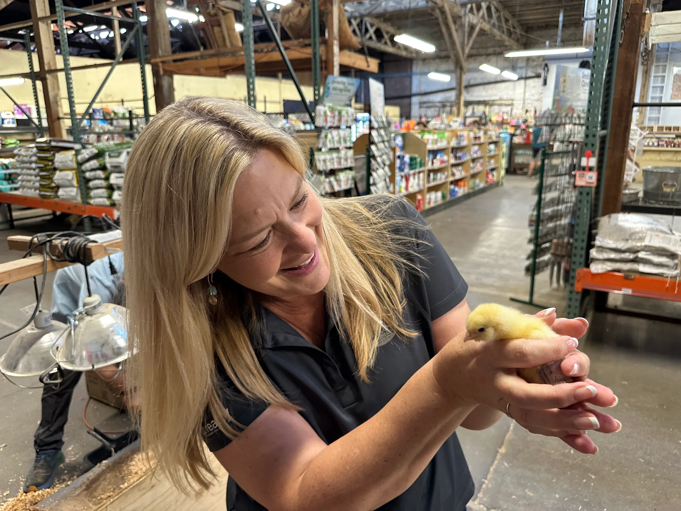 Woman holding a small yellow baby chick inside Northern Star Mills