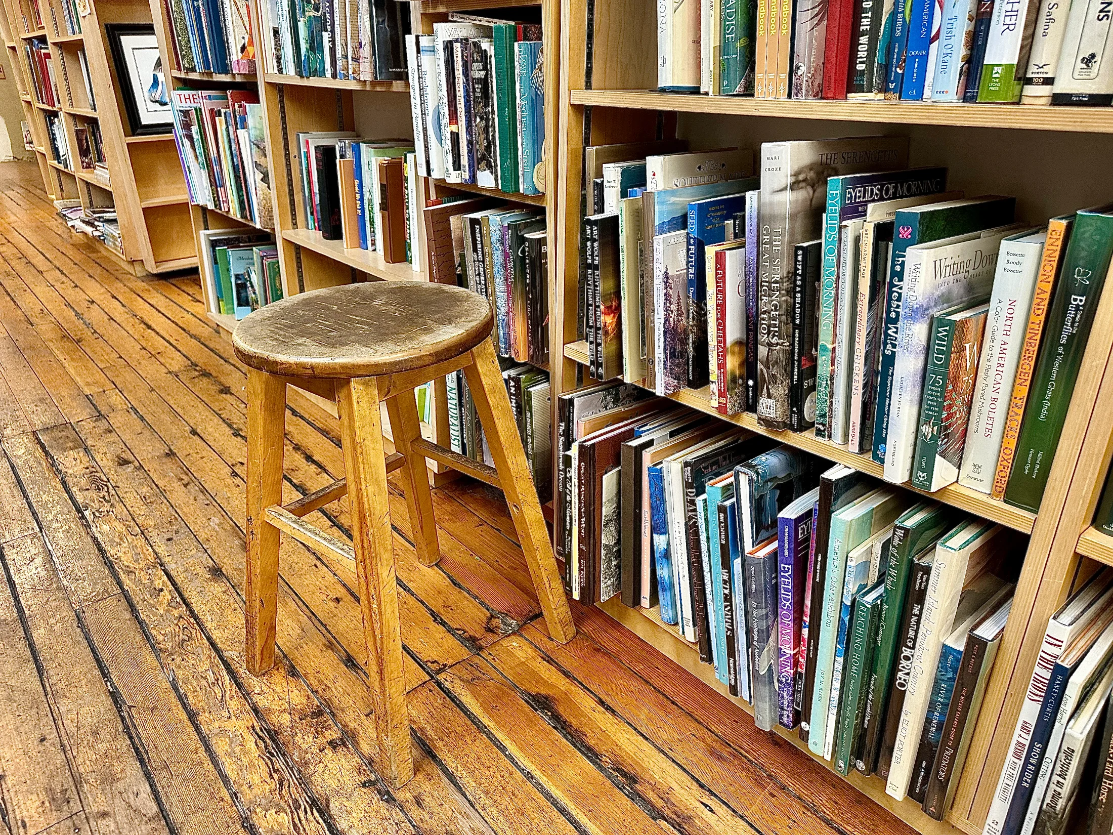 A worn wooden stool sitting on wide-plank hardwood floors in front of shelves stocked with nature and outdoor books at The Bookstore