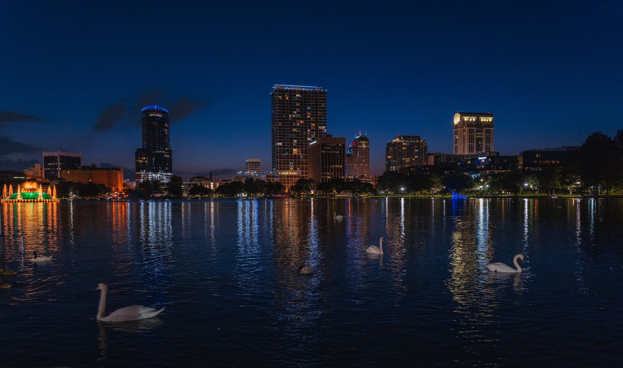 Lit downtown Orlando towers reflected in Lake Eola at night, with swans on the water