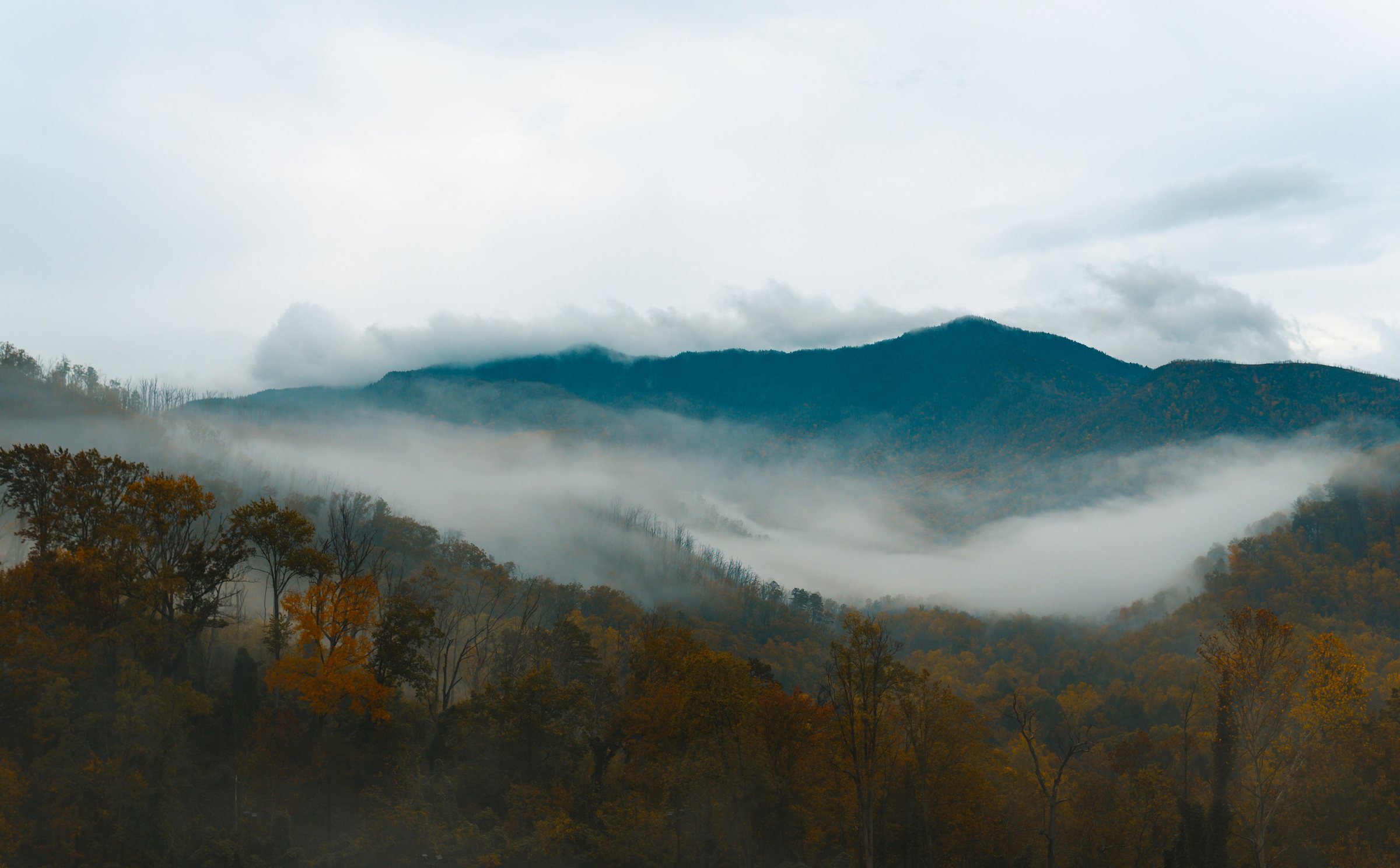 Layers of low white mist drift across a valley of autumn forest, with a dark green mountain ridge behind