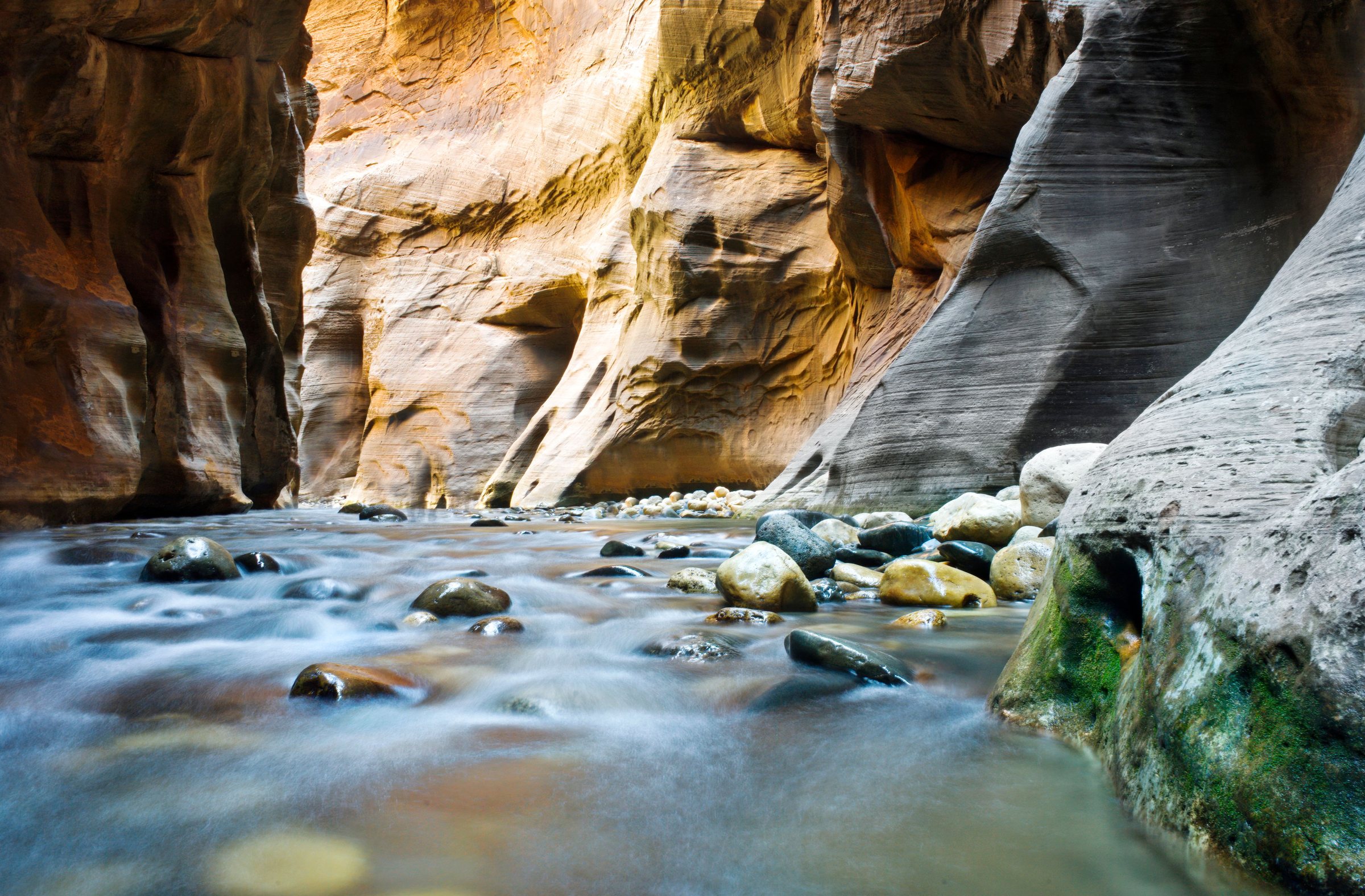 The 5 Most Visited National Parks, and Why the Smokies Lead