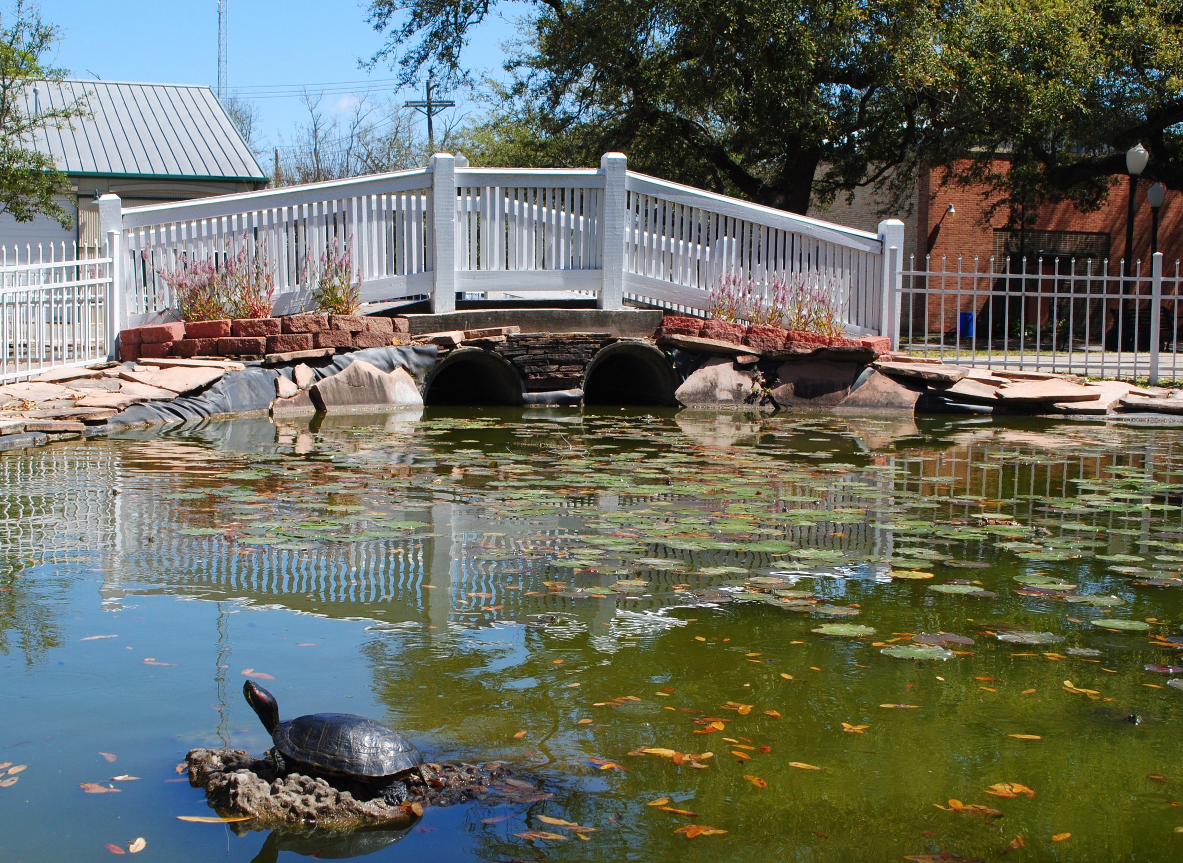 A bridge and lily pond at League Park in League City, Texas
