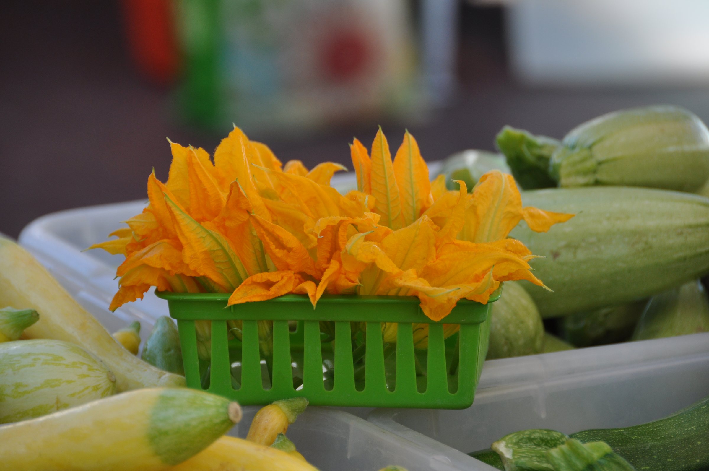 Orange squash blossoms in a green plastic basket on top of zucchini and yellow squash at the Santa Fe Farmers' Market