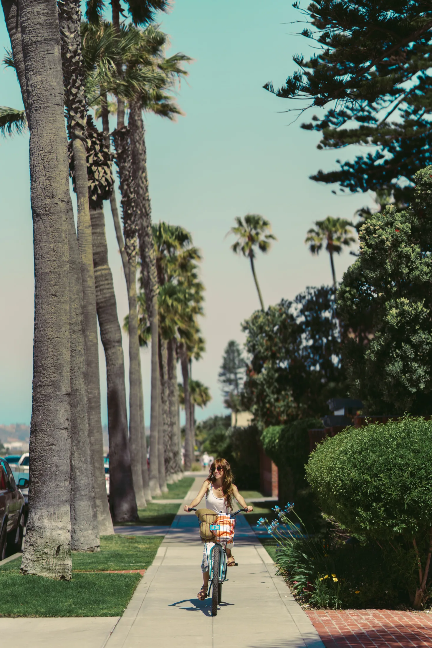 Woman riding a cruiser bike along a palm-lined sidewalk near the LA coast