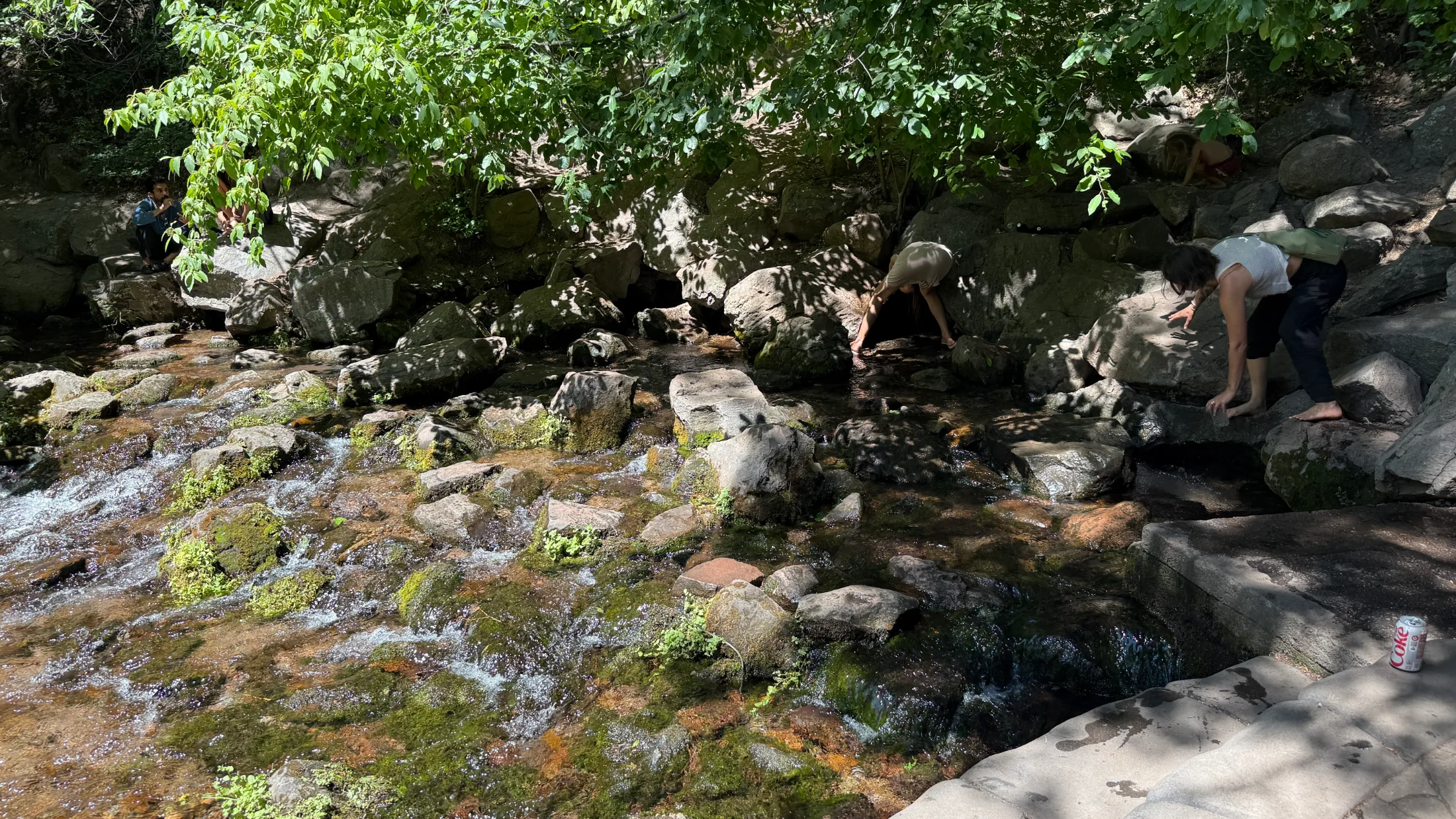 People leaning over mossy volcanic rocks at the spring, touching the cold moving water, surrounded by dense green canopy