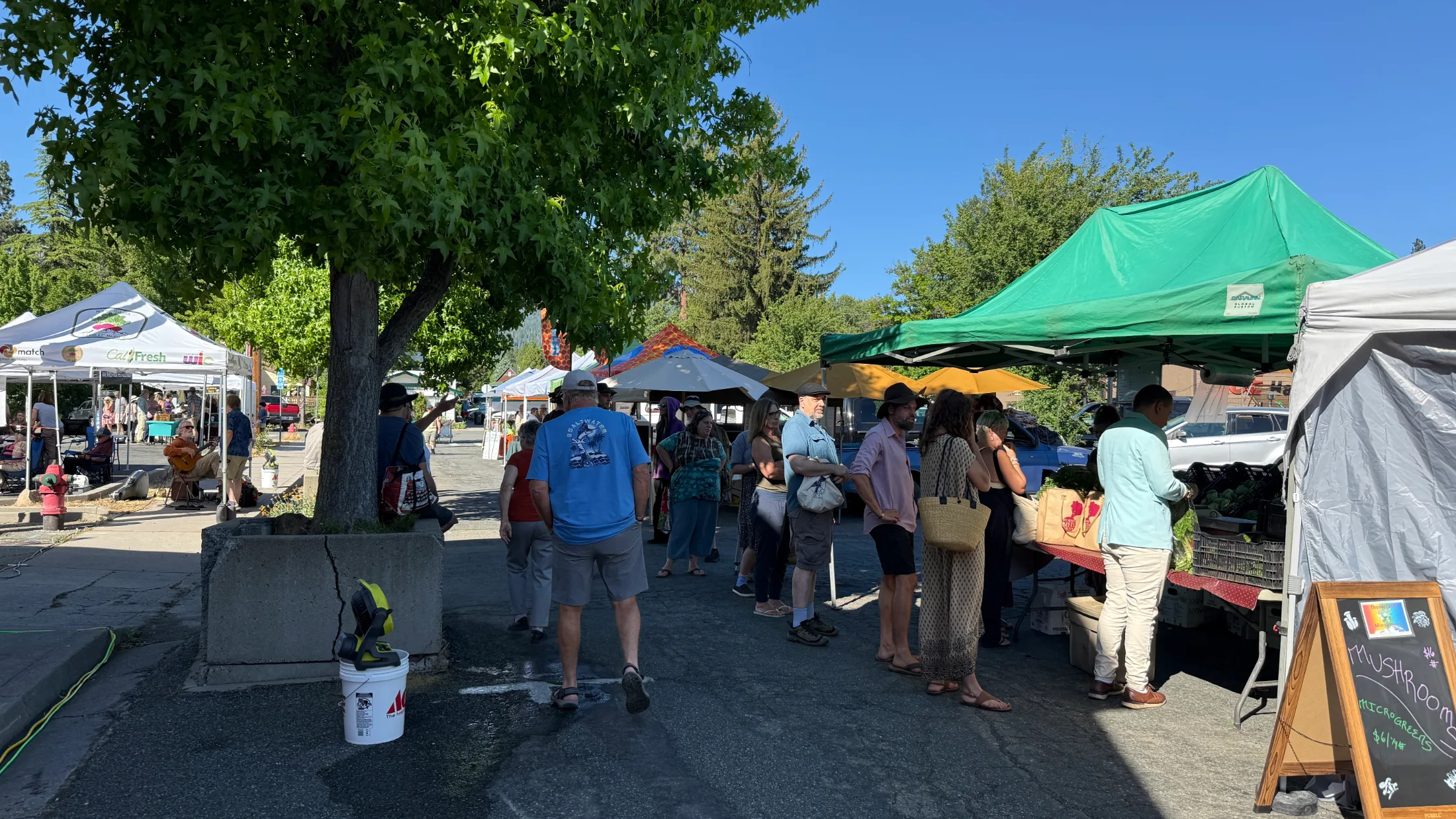 A busy crowd of shoppers lines up at a mushroom and microgreens stand under a green canopy, with the CalFresh and Market Match tent visible in the background.