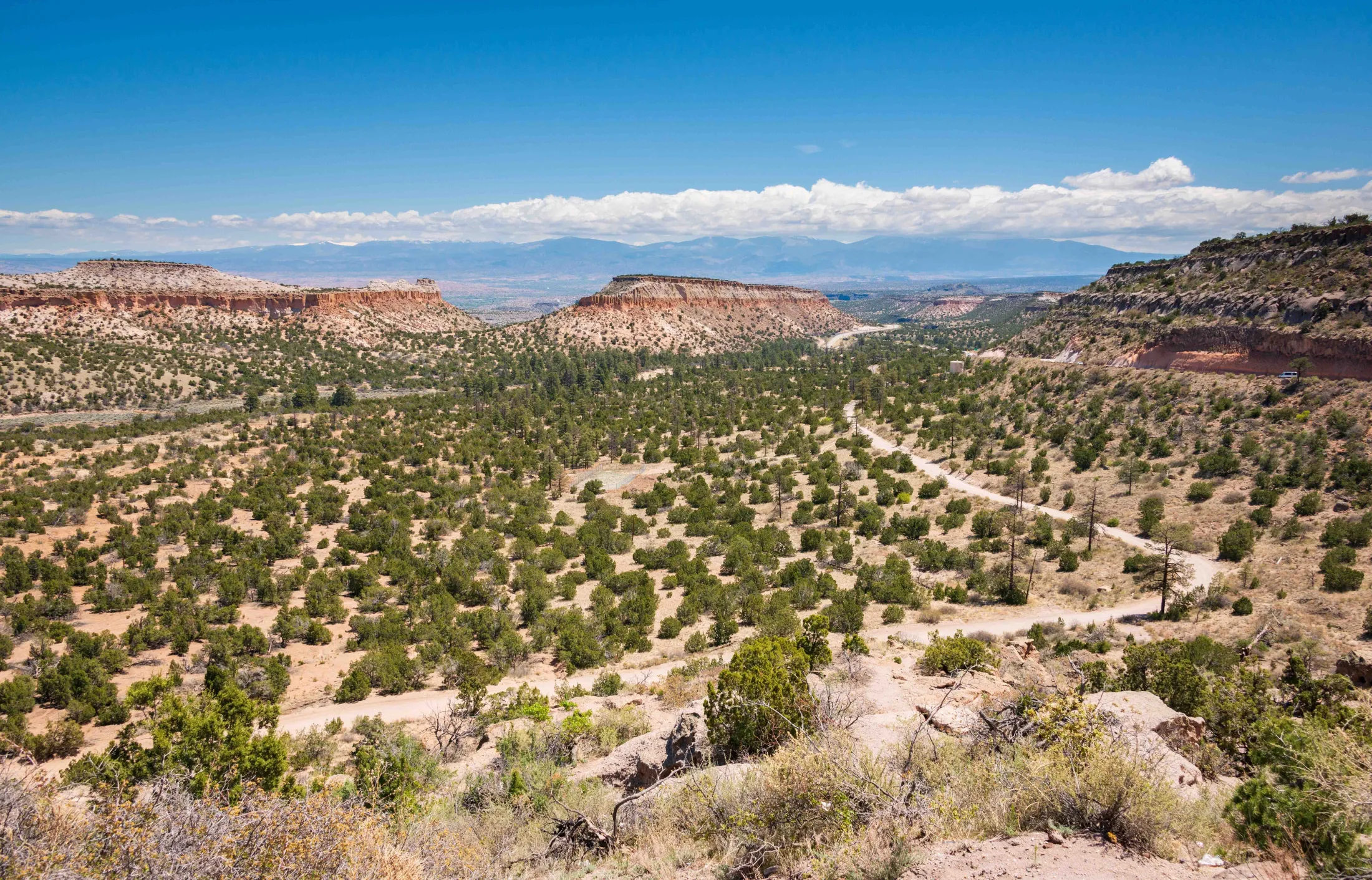 Wide mesa country covered in piñon and juniper with a dirt road winding toward red-rock cliffs and distant snow-capped Sangre de Cristo mountains