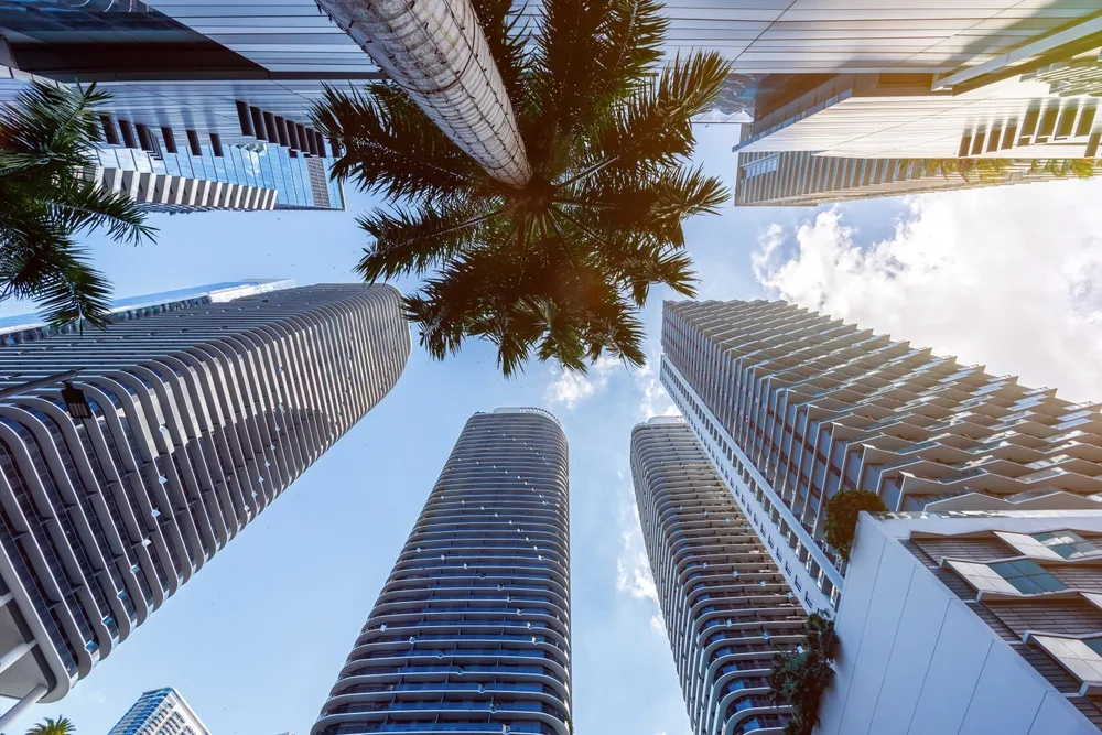 Looking up through glass skyscrapers and a palm tree in downtown Miami