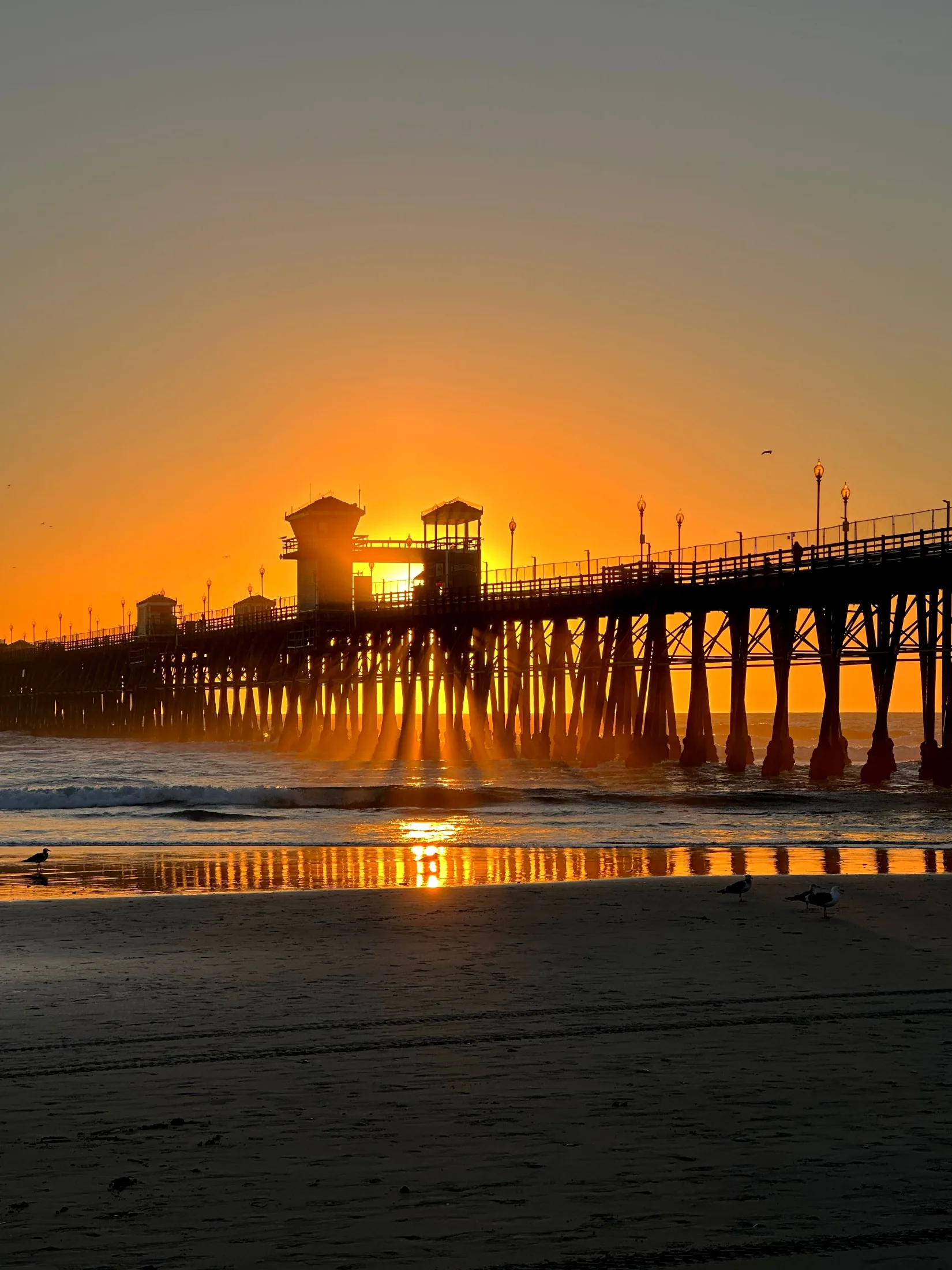 The Oceanside Pier silhouetted against a deep orange sunset, light rays piercing through the pier structure and reflecting gold on wet sand, seagulls in the foreground