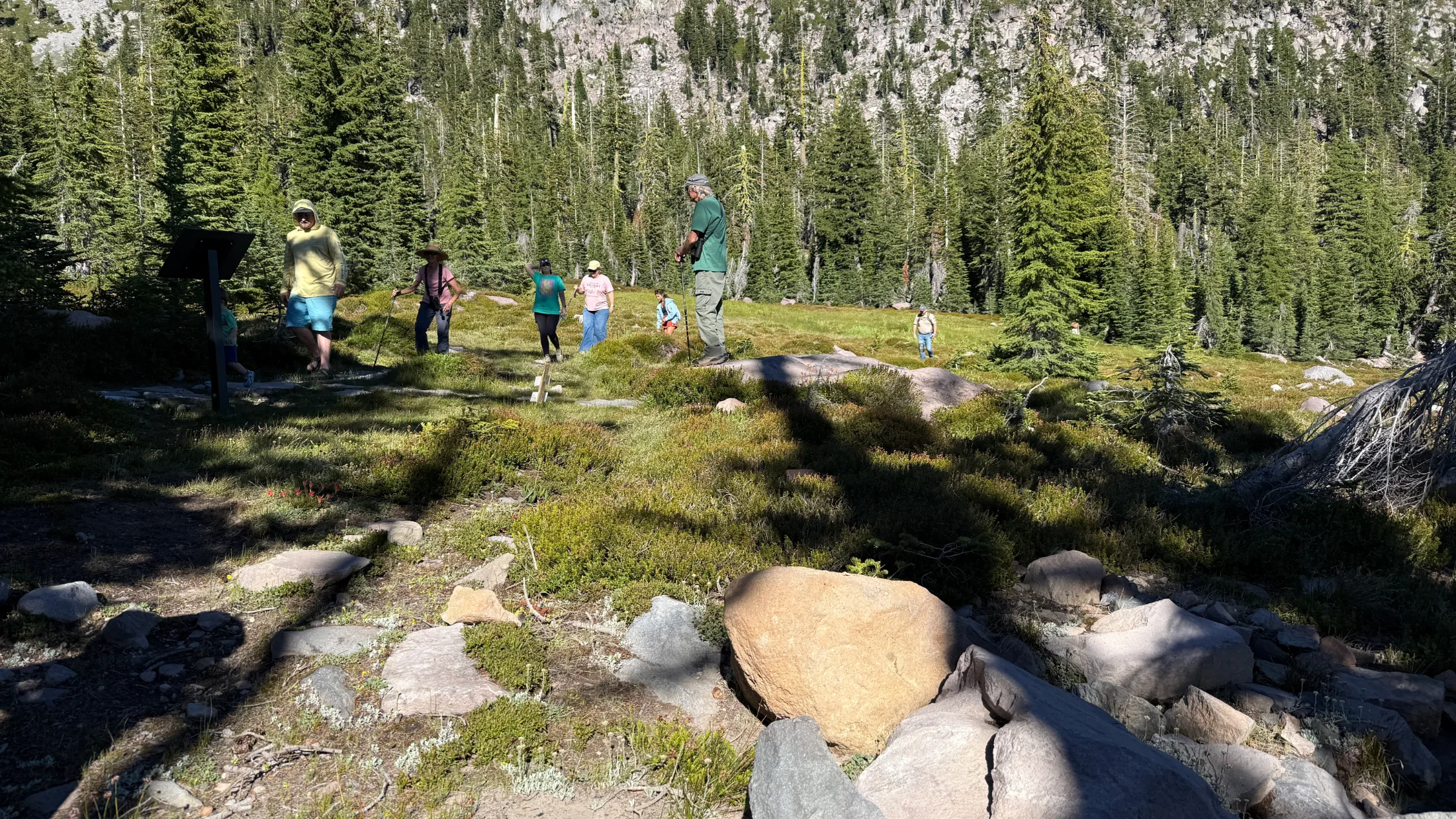 Hikers with trekking poles moving through the rocky, moss-covered lower section of Panther Meadow among hemlock trees
