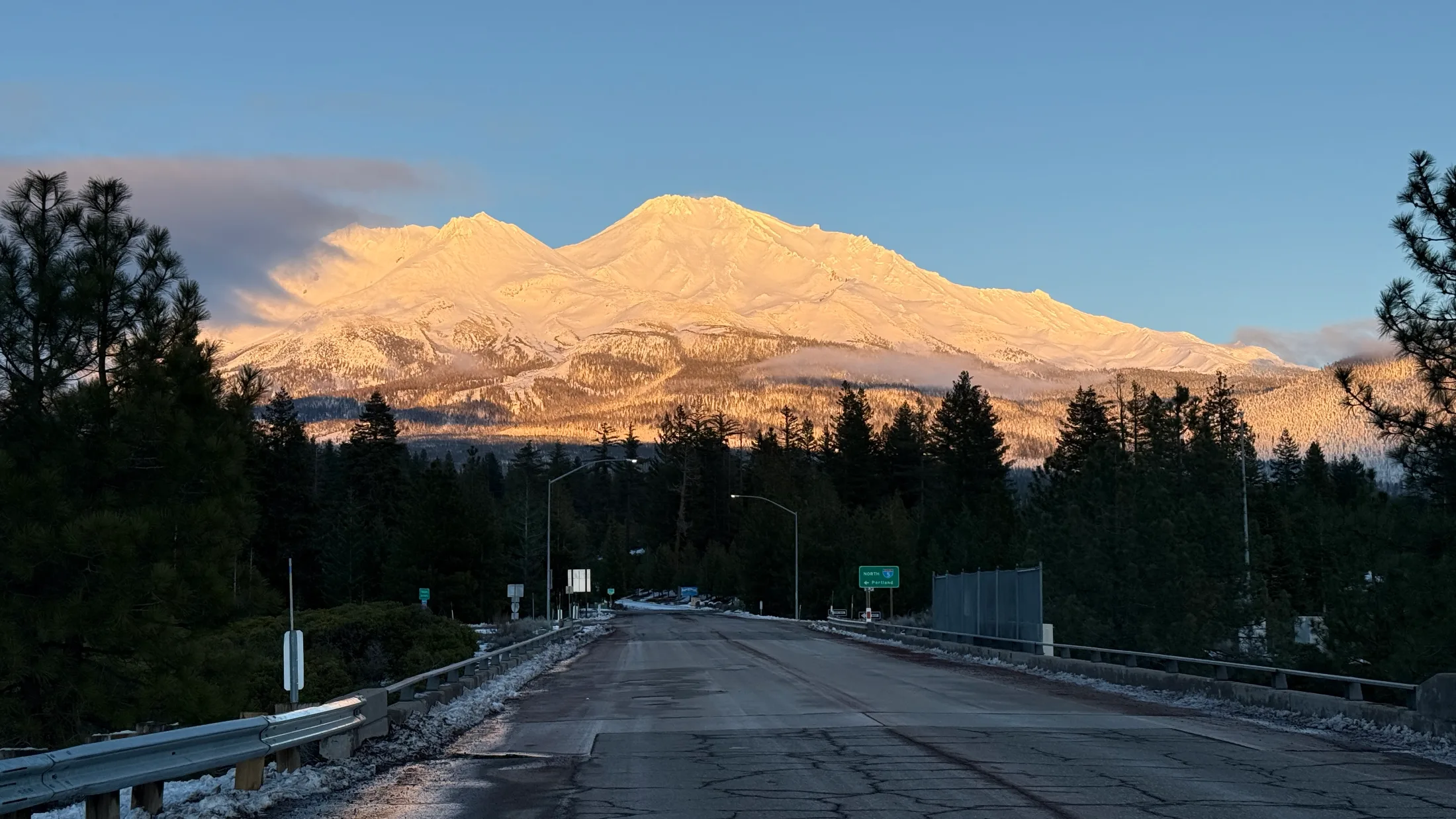 Mount Shasta framed by pine trees from a forest clearing