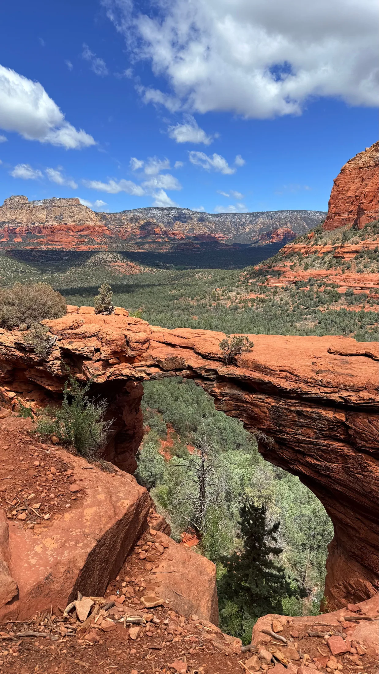 A natural red sandstone arch frames a sweeping canyon valley of green forest and layered buttes under a blue sky with white clouds