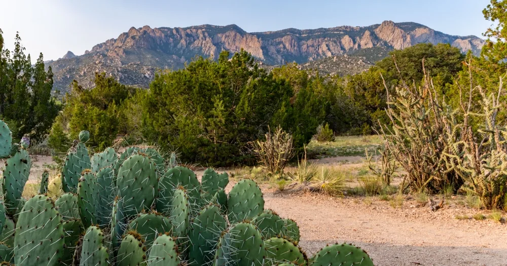 Desert, Mountain, Train, Color: The Full Scale of Albuquerque's Daily Life