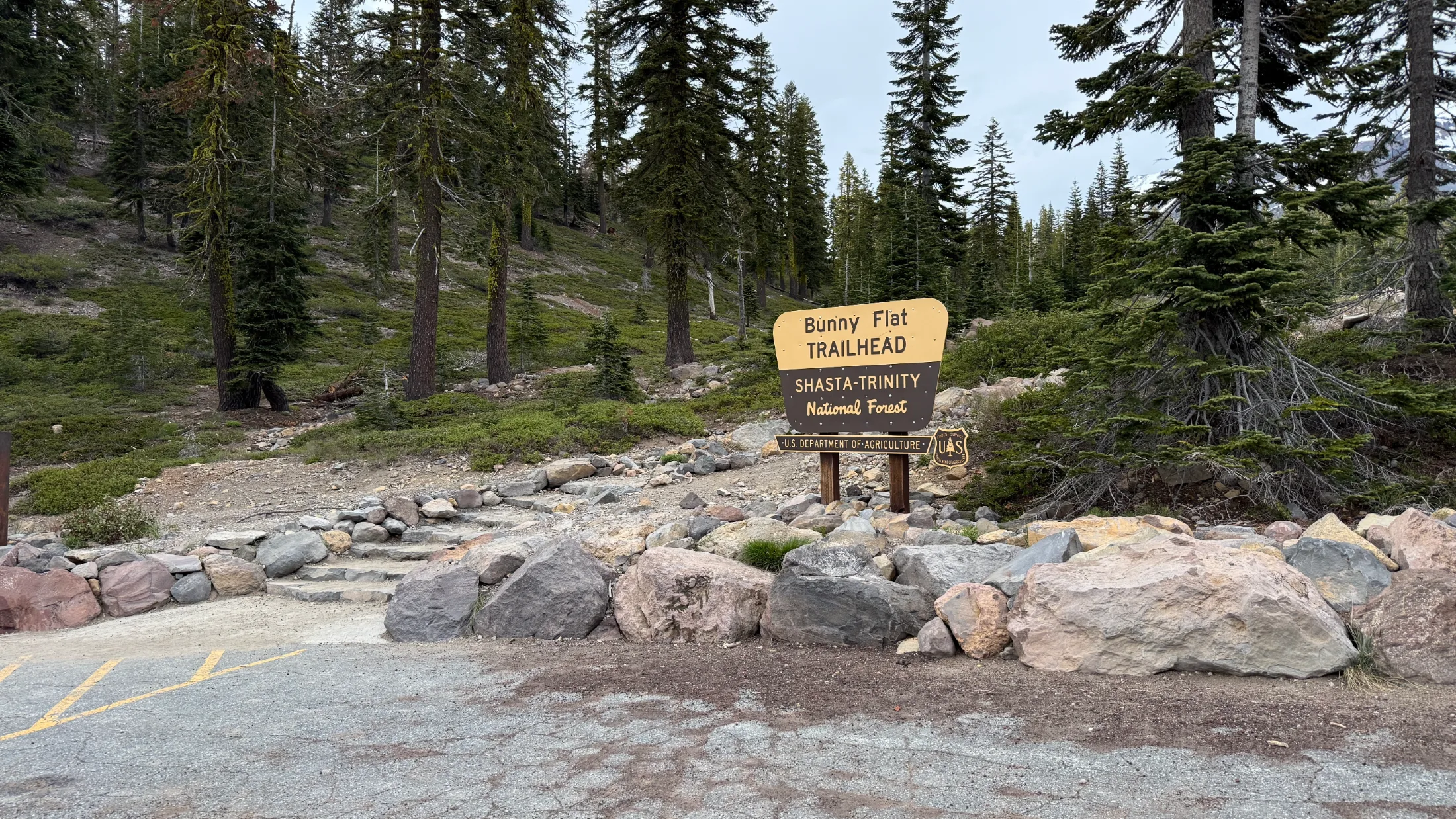 Bunny Flat Trailhead parking area with the Shasta-Trinity National Forest sign and rocky subalpine terrain rising behind it