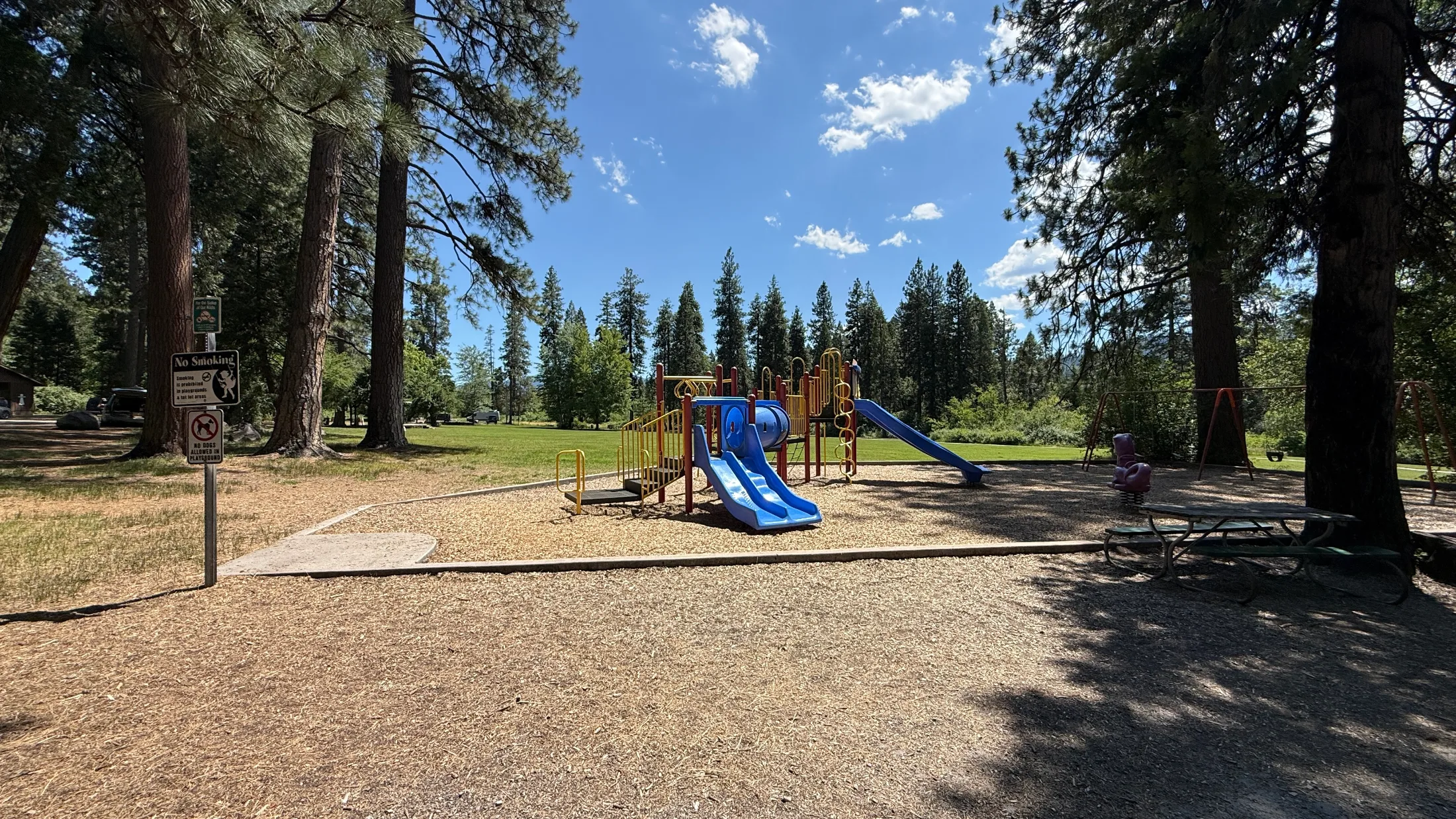 Sunny playground at Mt. Shasta City Park with blue slides and ponderosa pines surrounding a green lawn