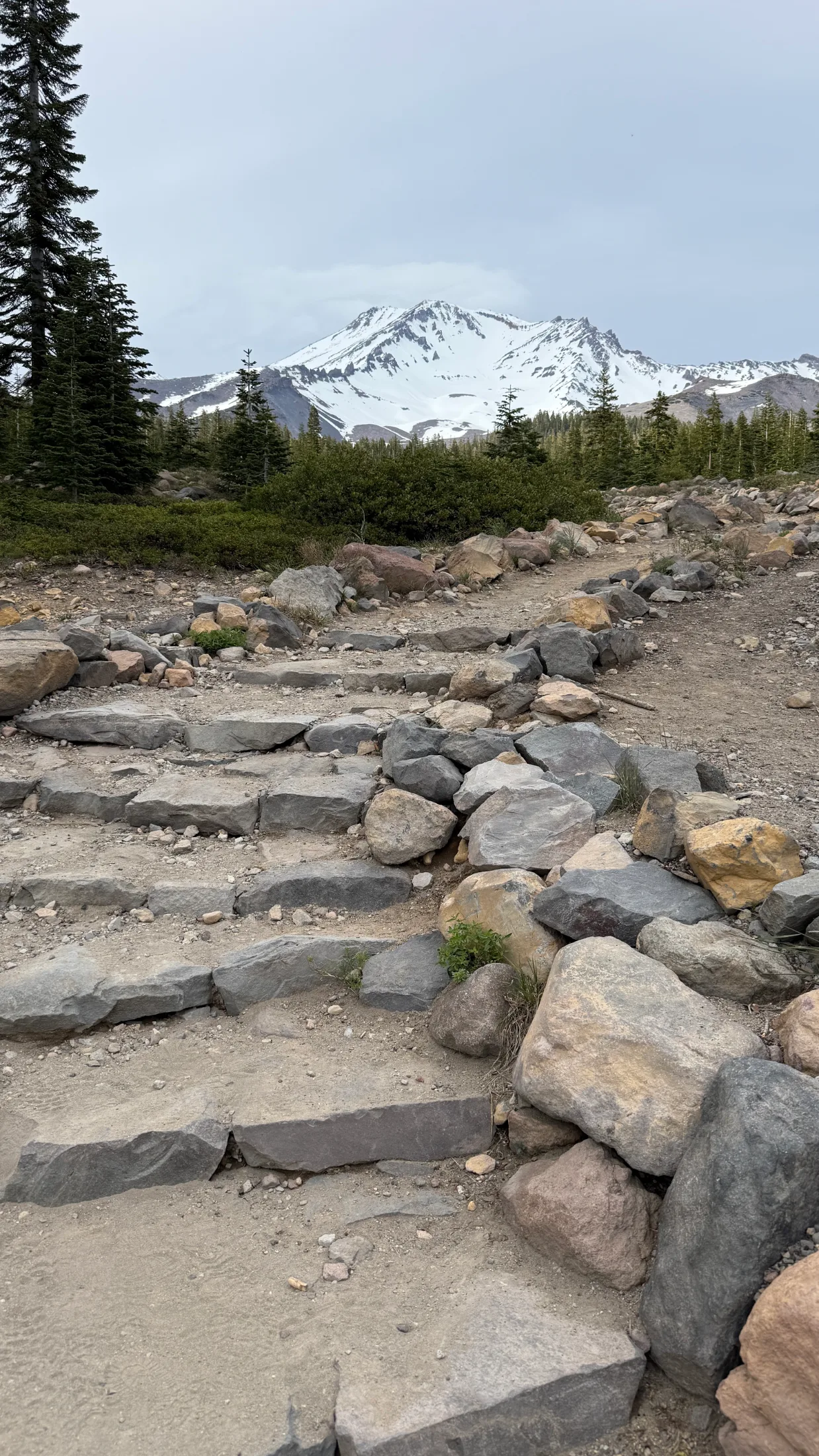 Stone-stepped trail leading upward toward the snow-covered summit of Mount Shasta, framed by subalpine firs