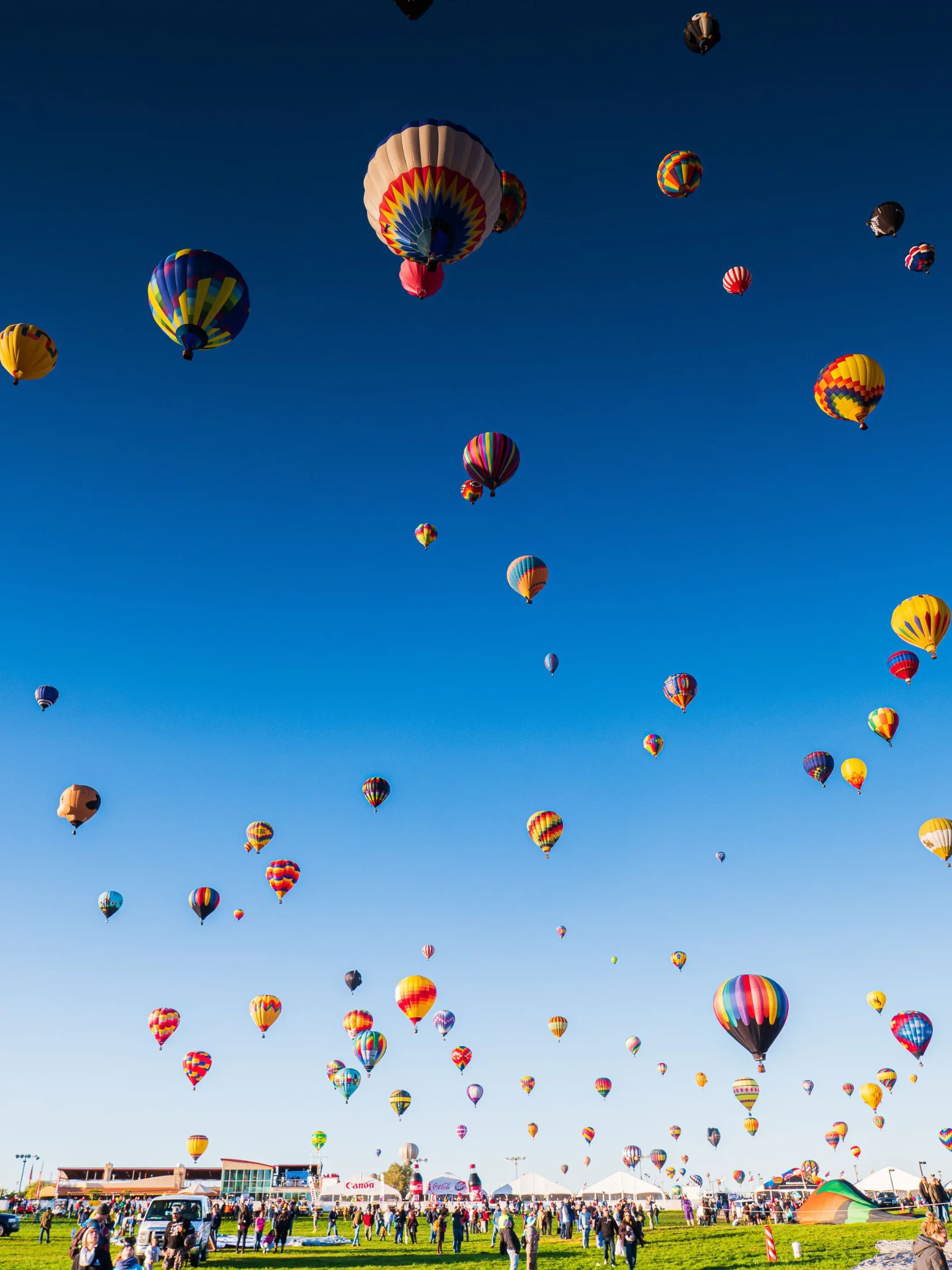 Wide-angle view of hundreds of hot-air balloons ascending above Balloon Fiesta Park's green launch field