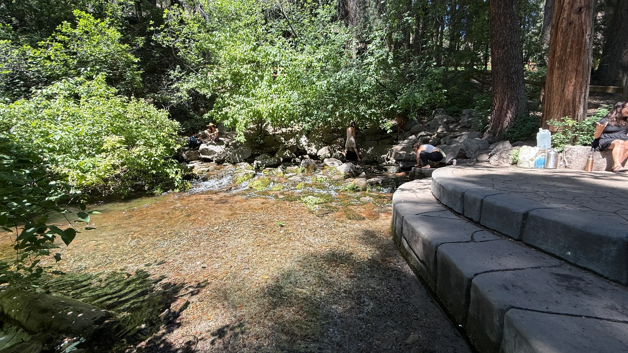 The Sacramento River Starts in a City Park. Mount Shasta Knows It.