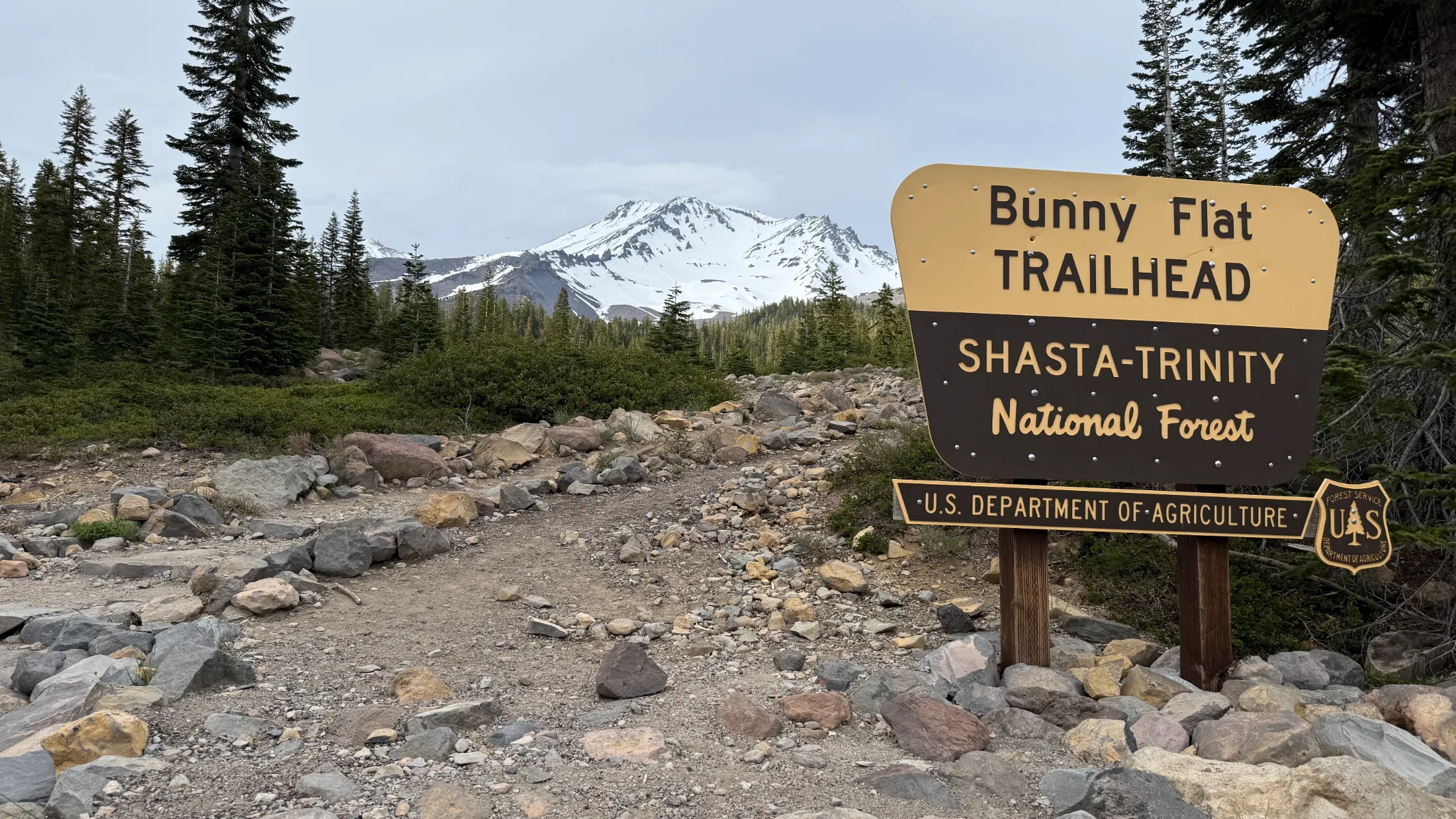 Bunny Flat Is Where the Mountain Gets Serious