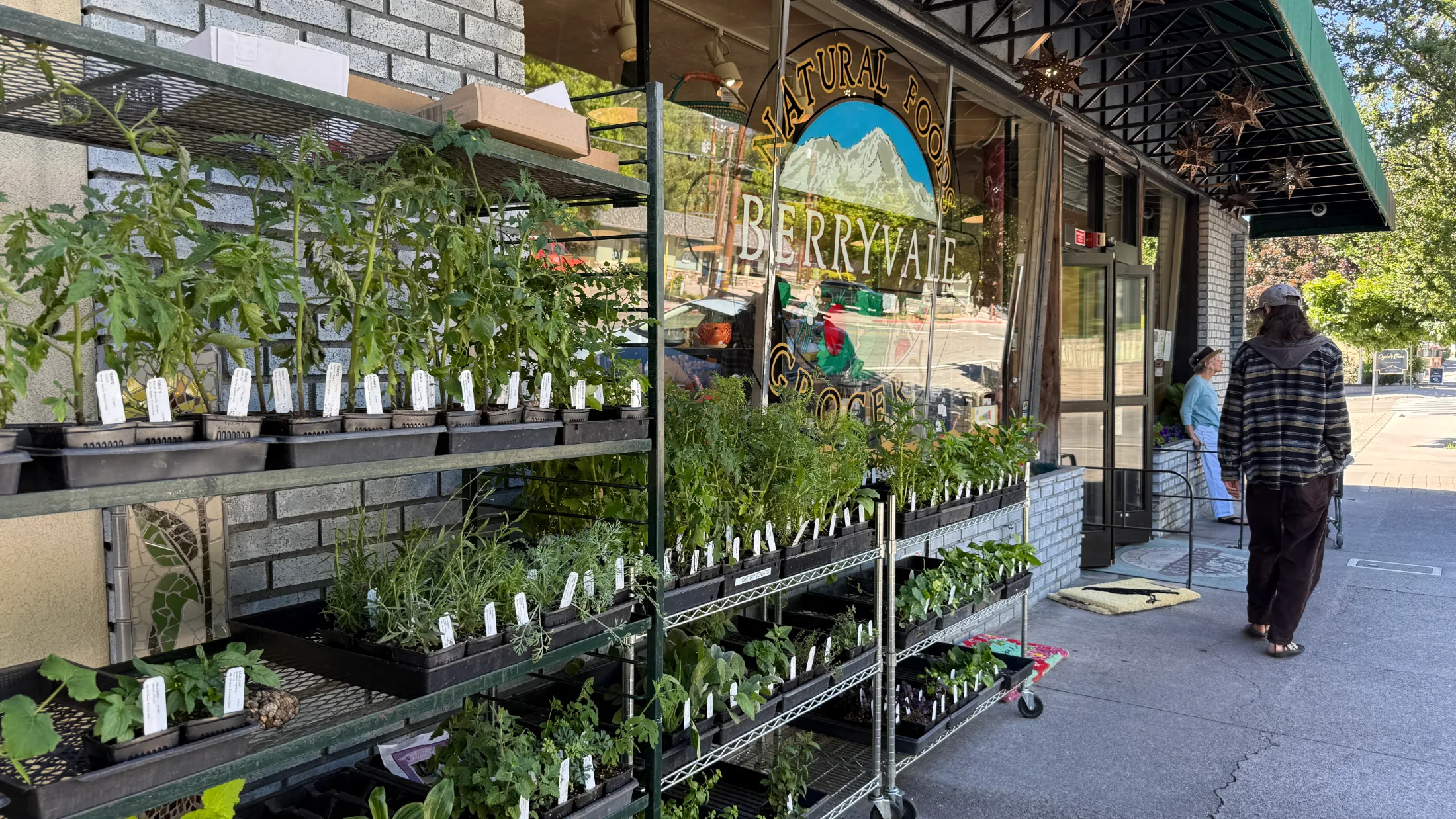 Berryvale Grocery Is the Real Town Square of Mount Shasta