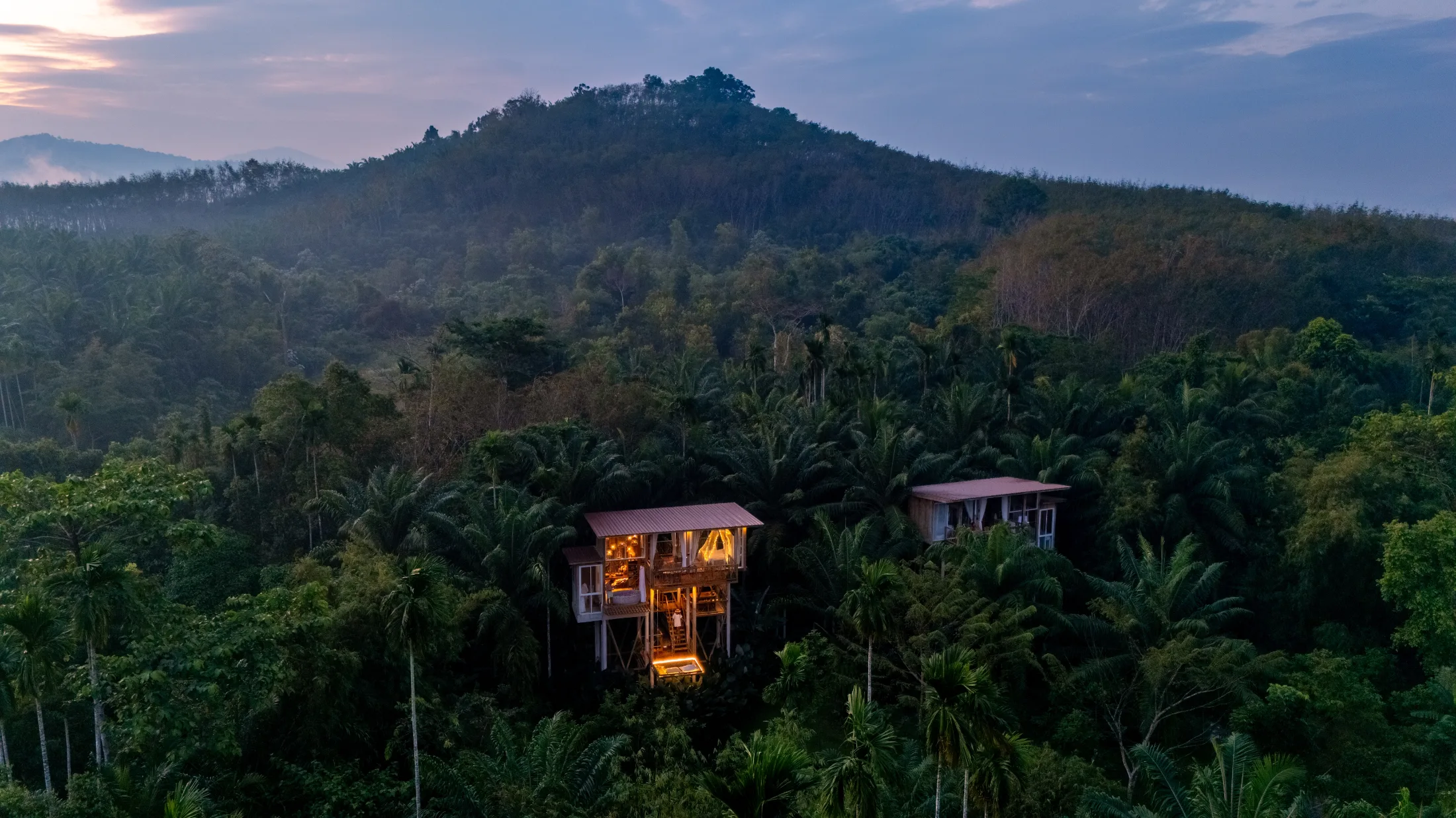 Elevated timber cabins glowing warm against a dense green hillside at dusk, seen from above the canopy