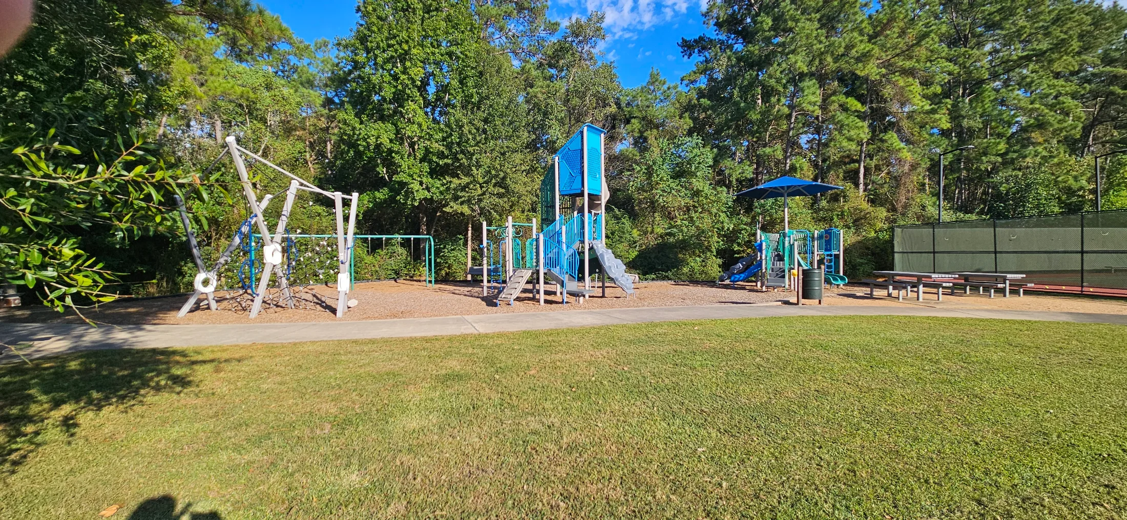 Cattail Park: Where Kids Play and Dogs Have Their Day