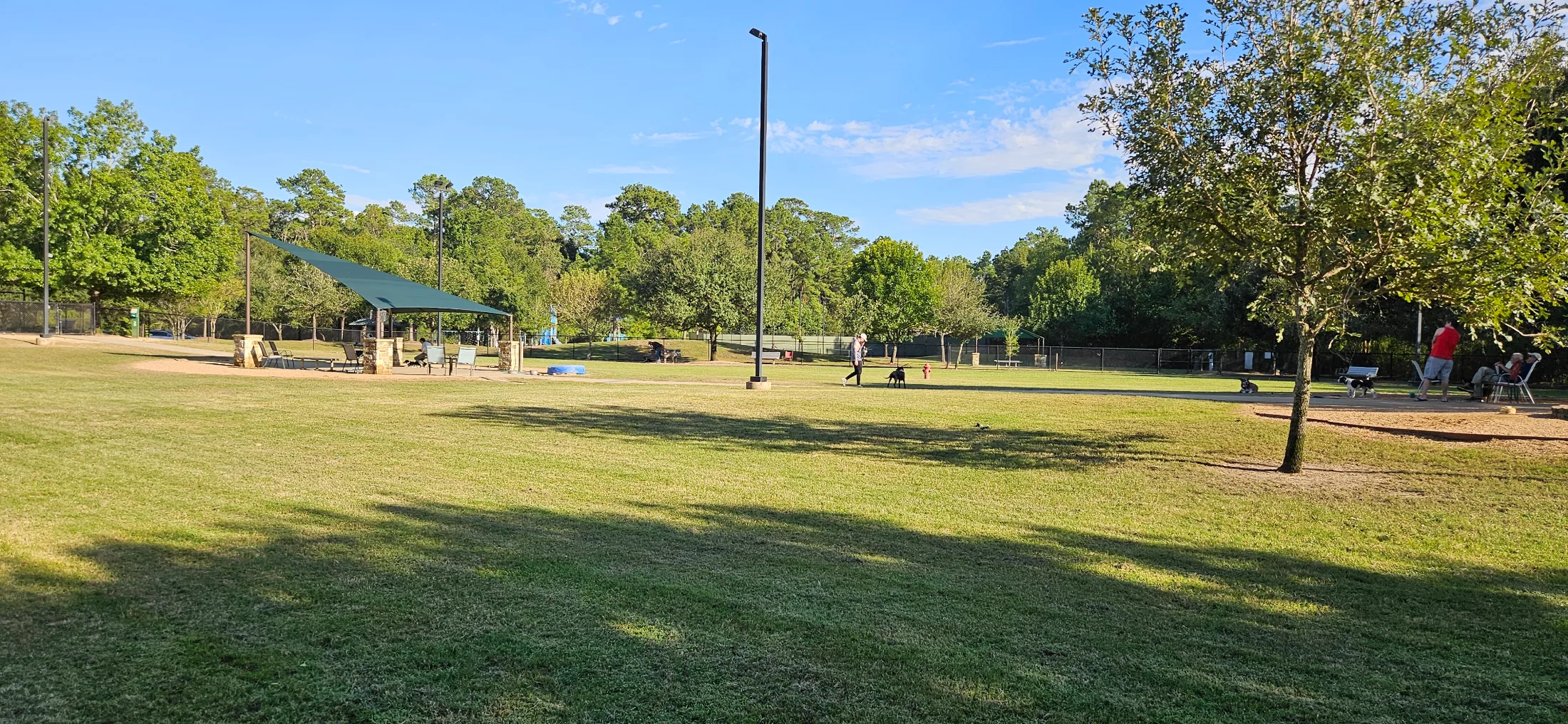 Wide view of the Cattail Park dog park with green shade sail, stone pillars, seating area, and dogs and owners spread across the grass