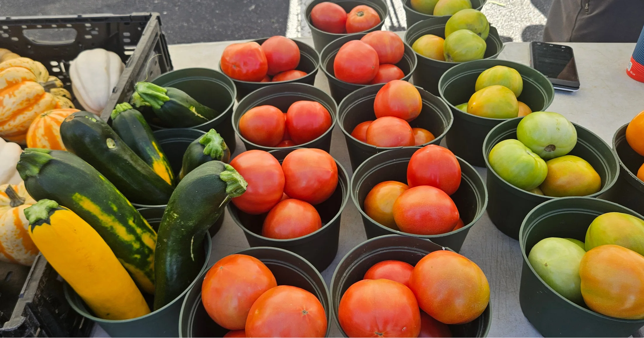 Fresh tomatoes and zucchini in buckets at a Grogan's Mill Farmers Market produce stand
