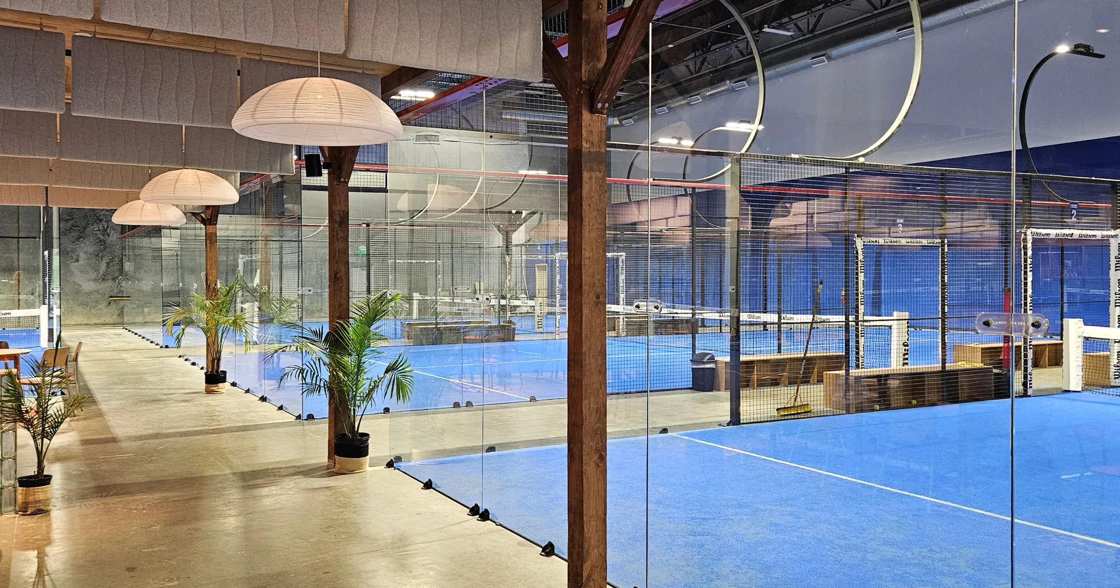 View along the glass wall corridor of Lobb's Padel with palm plants and pendant lights, multiple blue courts visible in a row through the glass