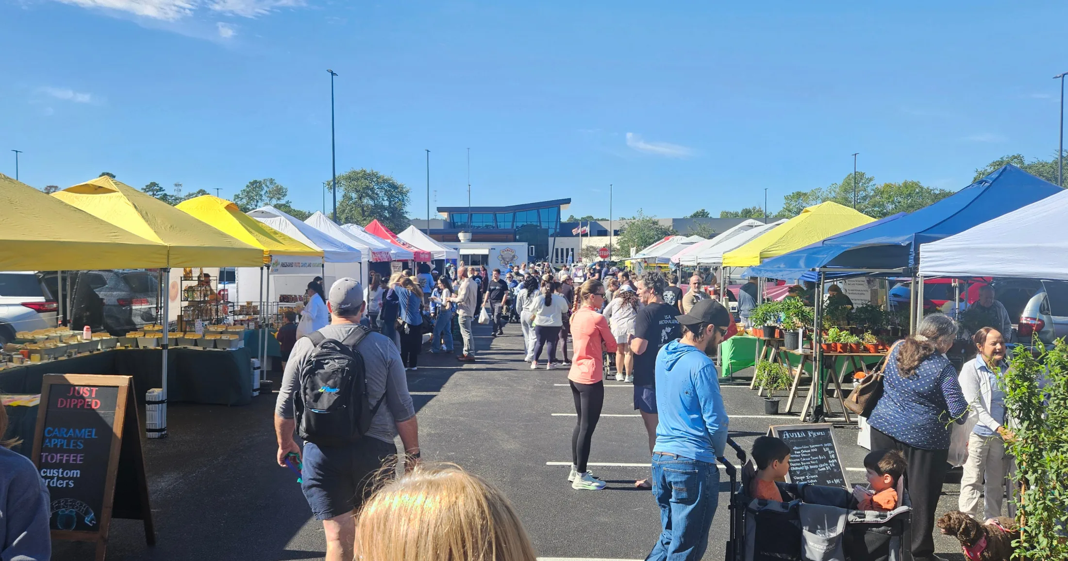Wide view of the Grogan's Mill Farmers Market with rows of vendor tents and a crowd of shoppers on a sunny morning