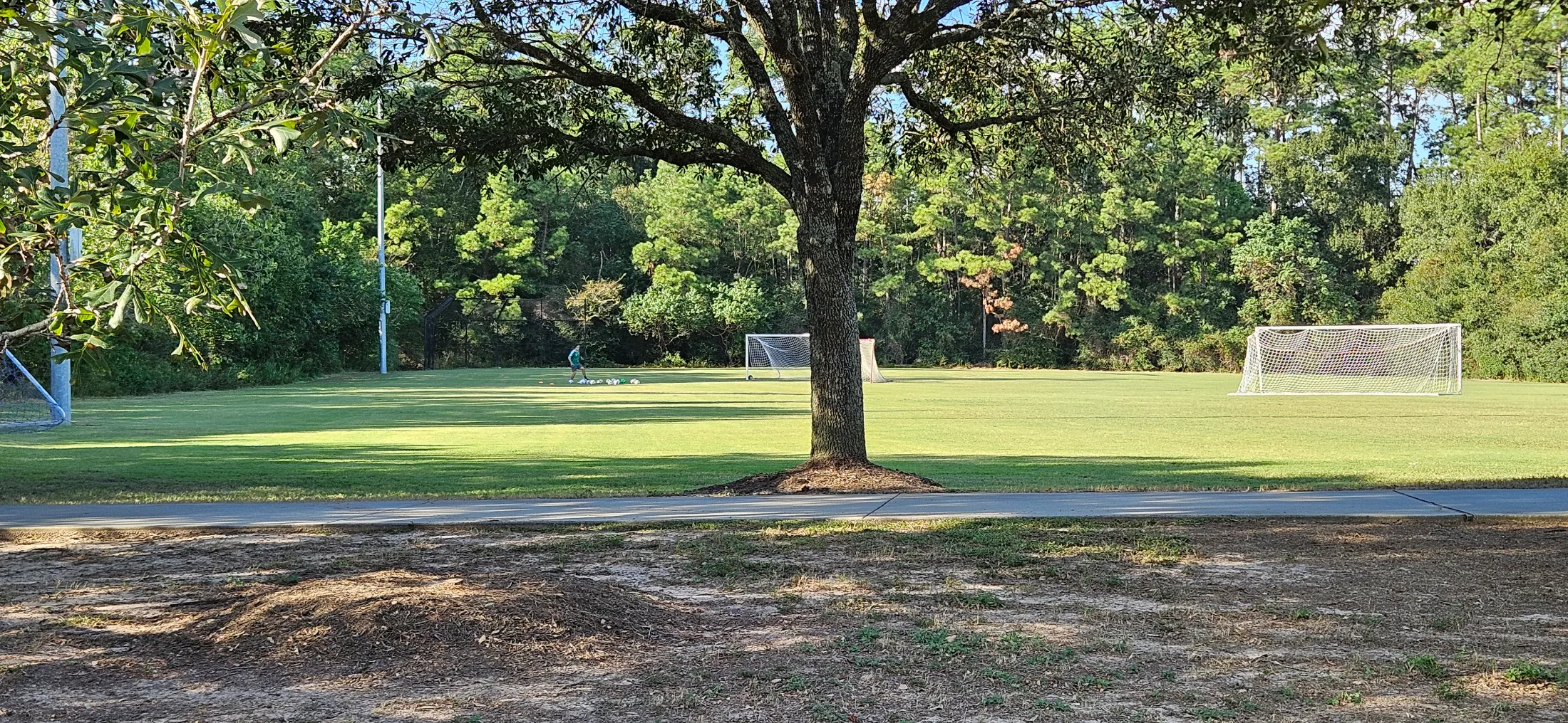 Soccer field at Cattail Park with two goals and a mature oak in the foreground, late afternoon light across the grass