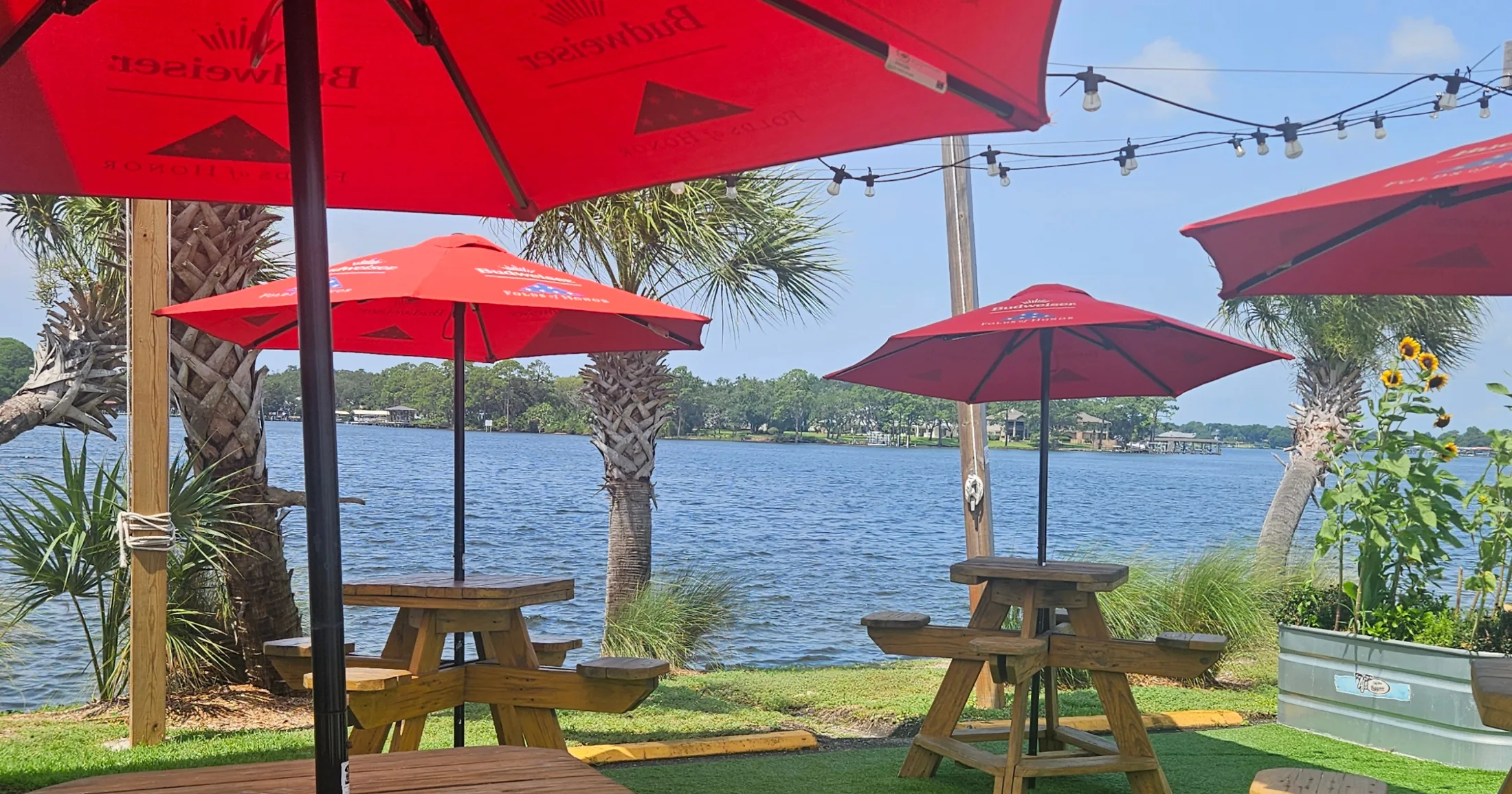 A Friday lunch on the bayou includes seafood, chicken and some ice cold beer!