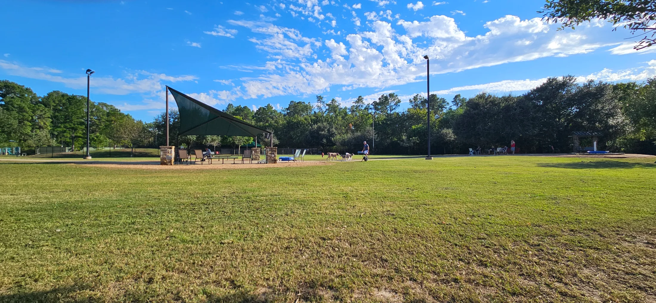 Afternoon light across the Cattail Park dog park, shade sail anchored by stone pillars, dogs walking loose on the grass, owners relaxing in seating areas
