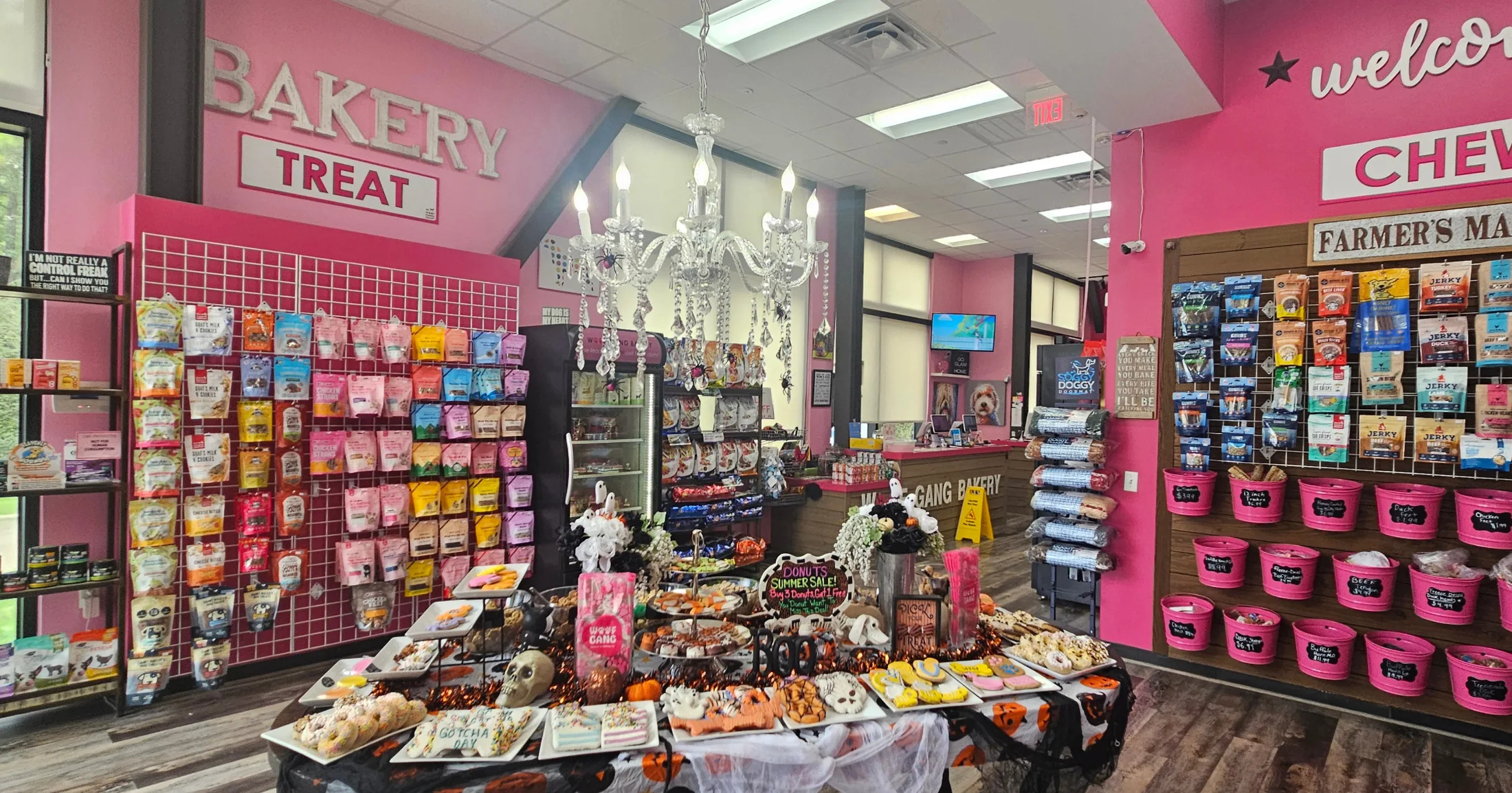 Woof Gang Bakery and Grooming interior with pink walls, chandelier, and Halloween-themed dog treat display