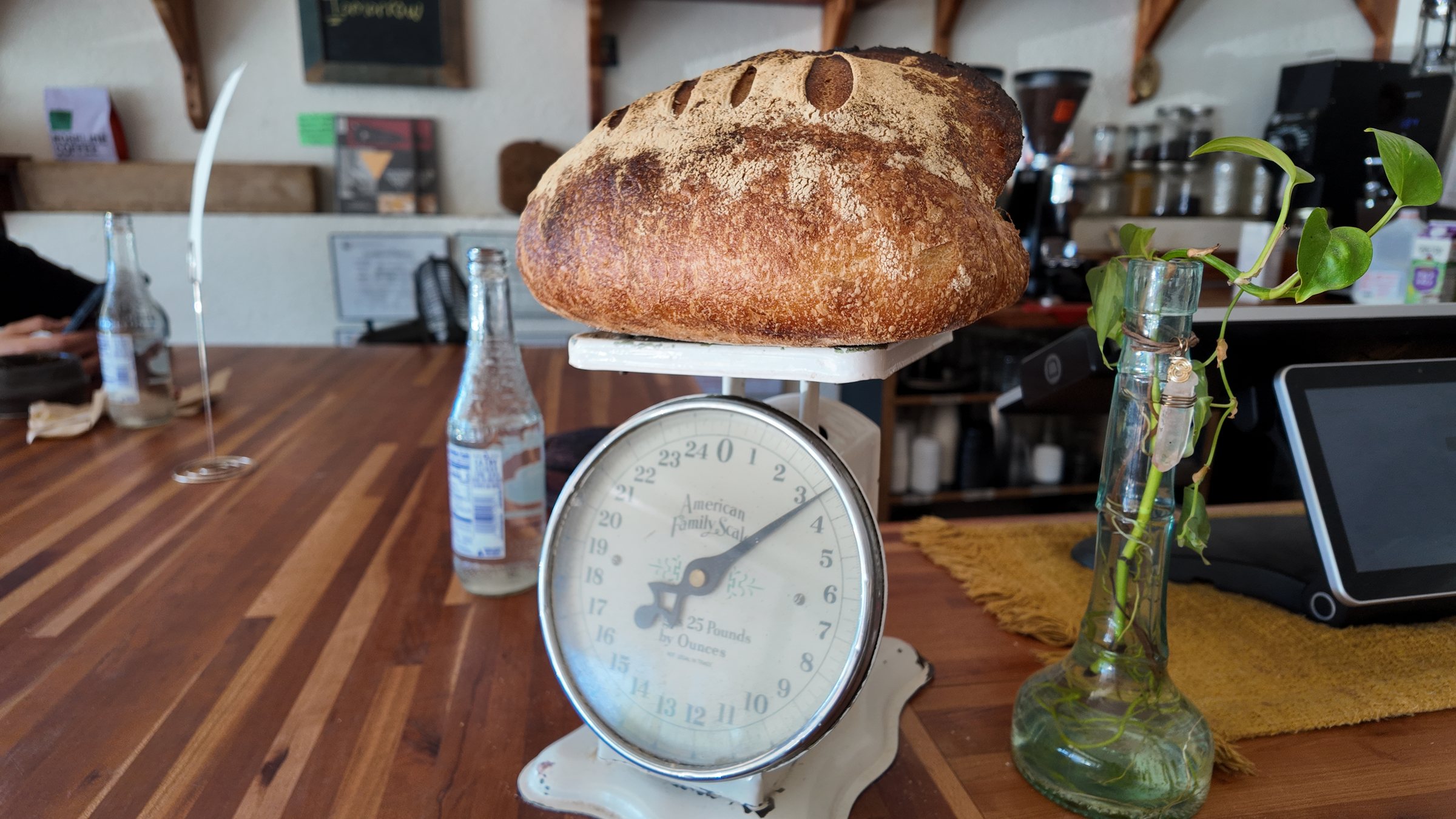 A sourdough loaf on the scale at Tomorrow and Tomorrow